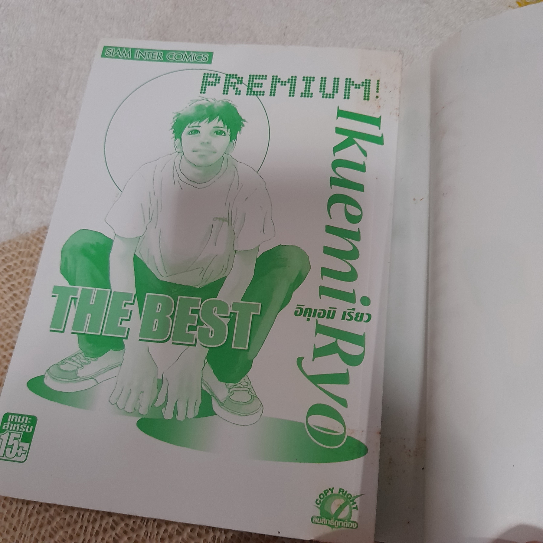 THE BEST PREMIUM อิคุเอมิ เรียว