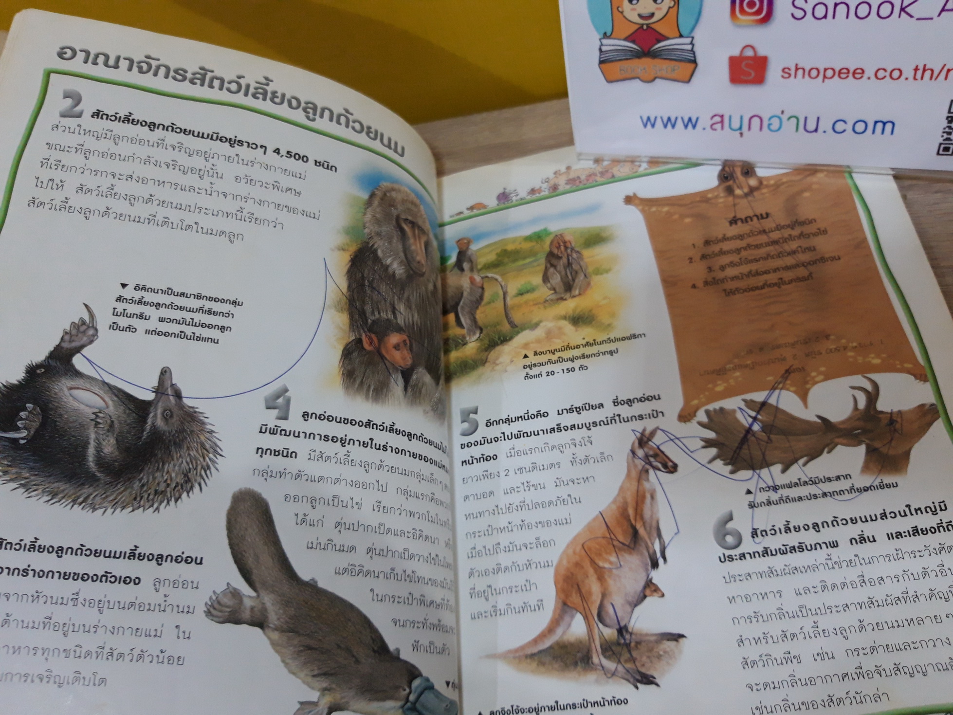 100 เรื่องน่ารู้เกี่ยวกับสัตว์เลี้ยงลูกด้วยนม