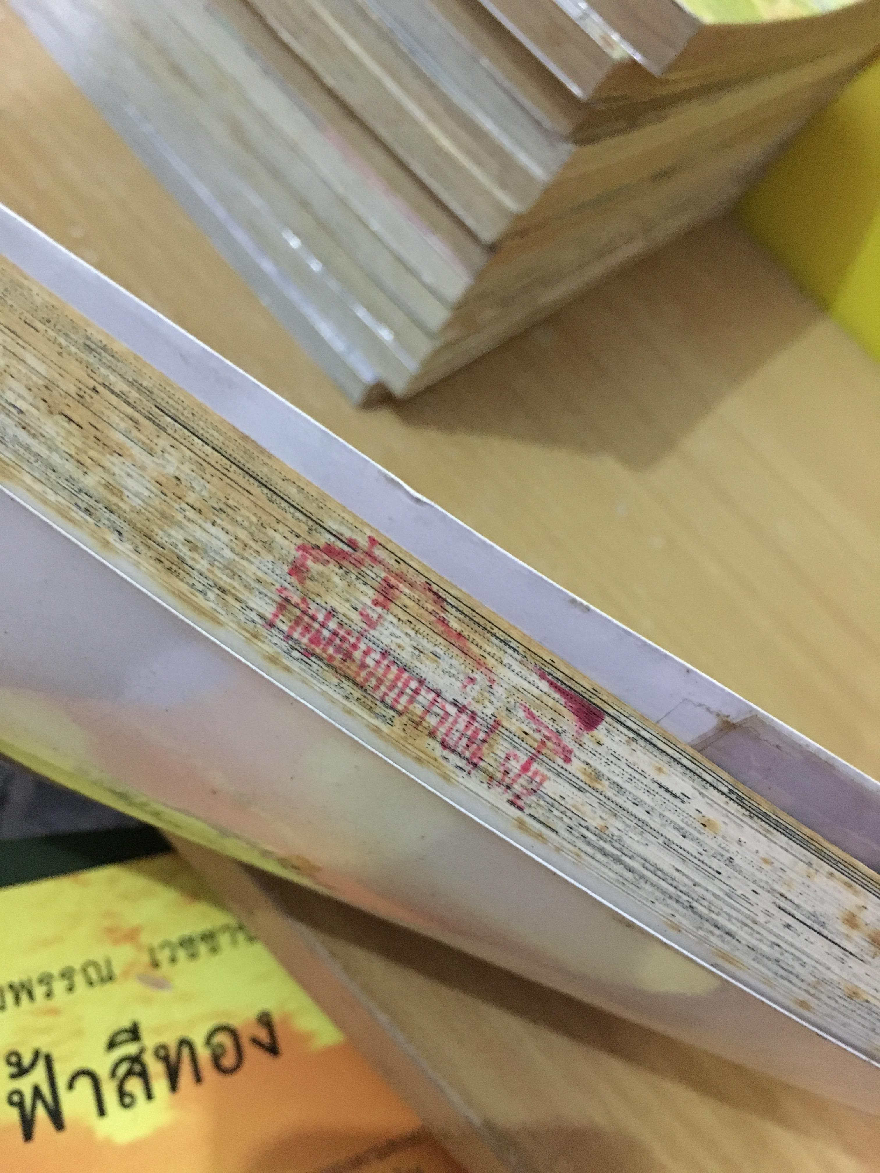 เจ้าหญิงจอมจุ้นกับรักวุ่นๆ ในวัง เล่ม 1-27 ไม่จบ / *ขาดเล่ม 26,28