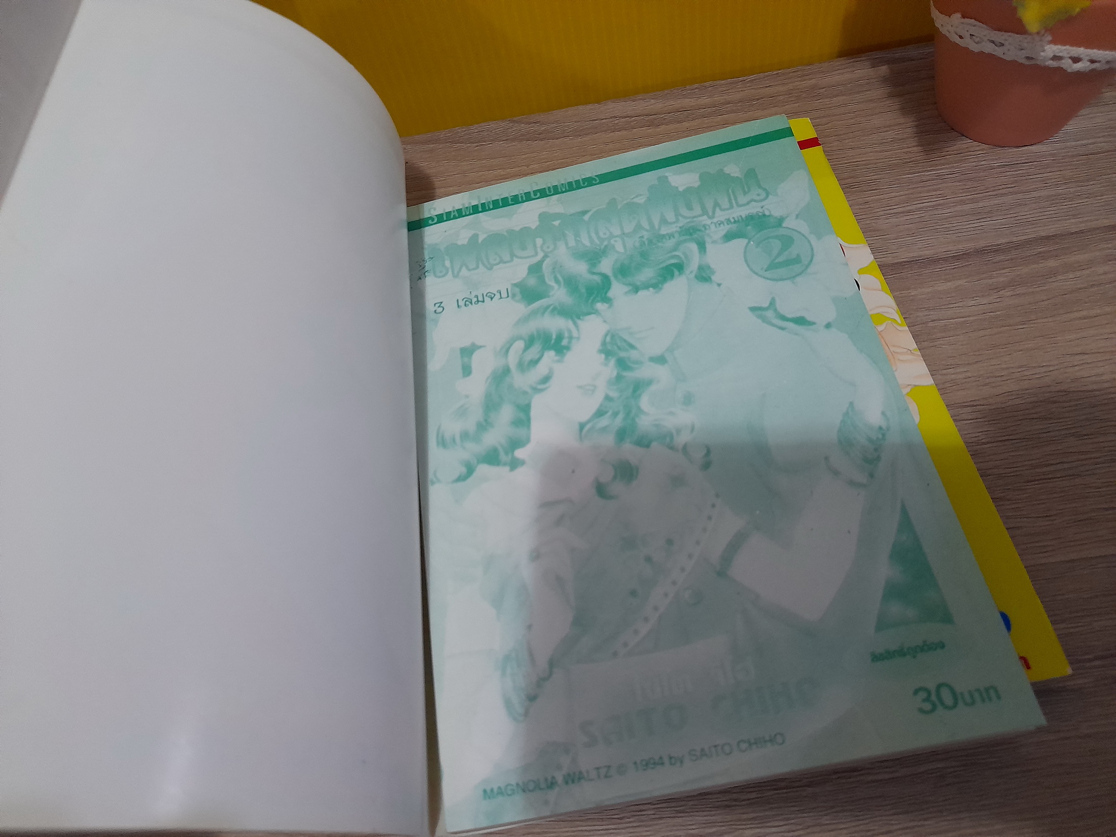 เพลงรักสุดฝั่งฝัน 2-3 จบ / *ขาดเล่ม 1 / Saito Chiho