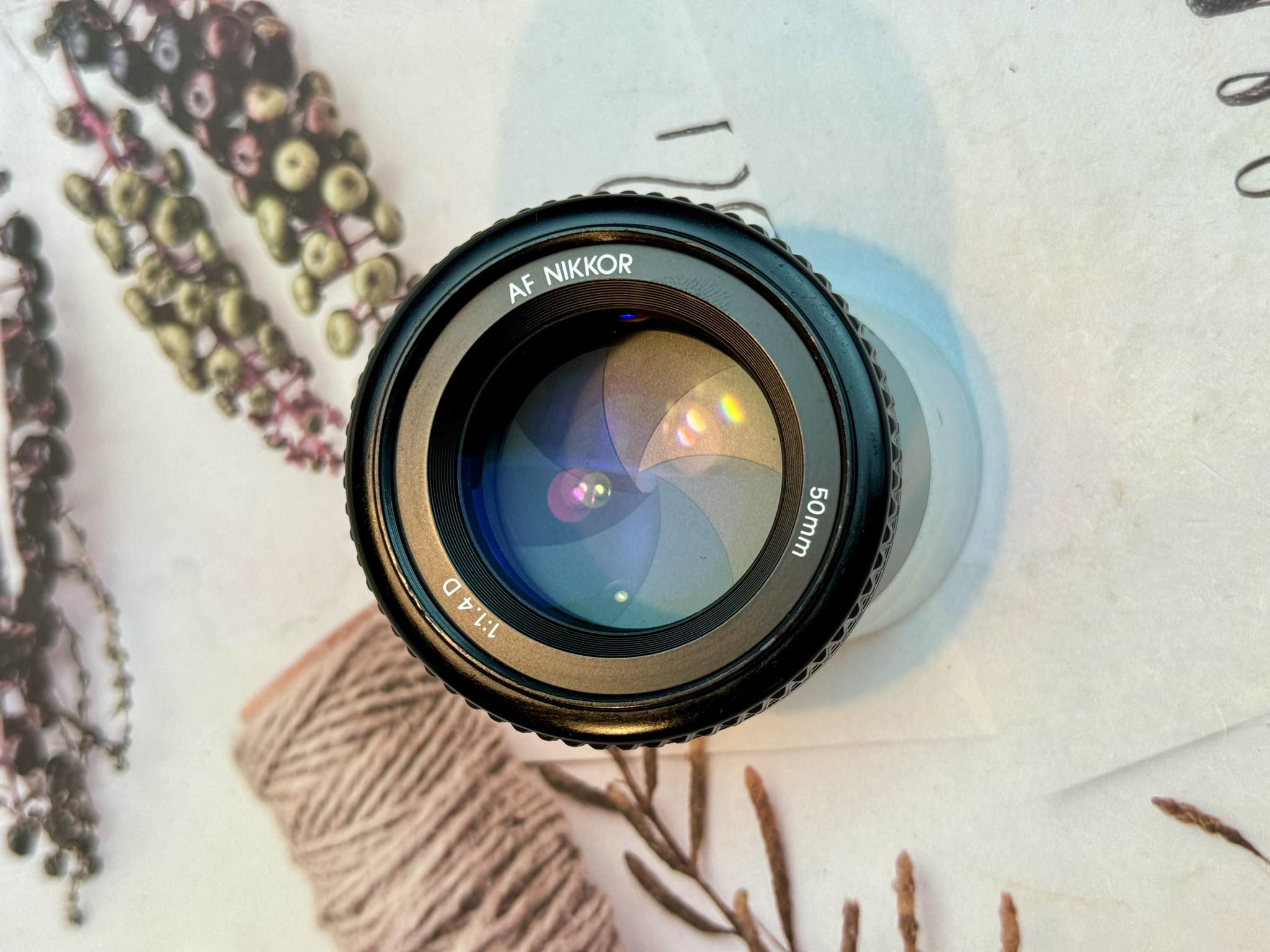 NIKON AF NIKKOR 50MM.F1.4D AIS MOUNT(NO.6)