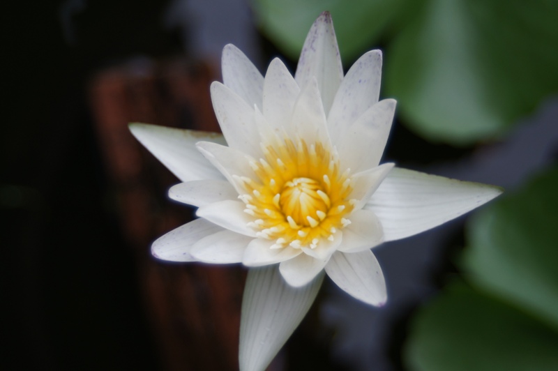 TOKINA SD 28-70MM.F3.5-4.5 MACRO PK MOUNT