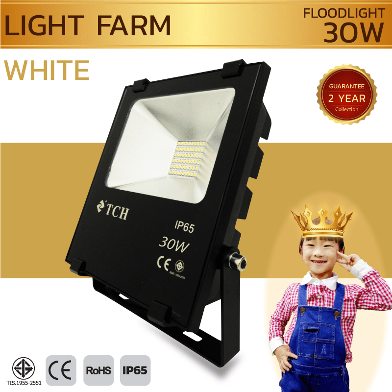 สปอร์ตไลท์ LED 30 w มอก. ( แสงสีวอมไวท์ )