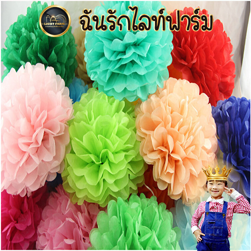 โคมกระดาษ , พู่กระดาษ ,ธงราวปาร์ตี้ ของตกแต่งแบบต่างๆ