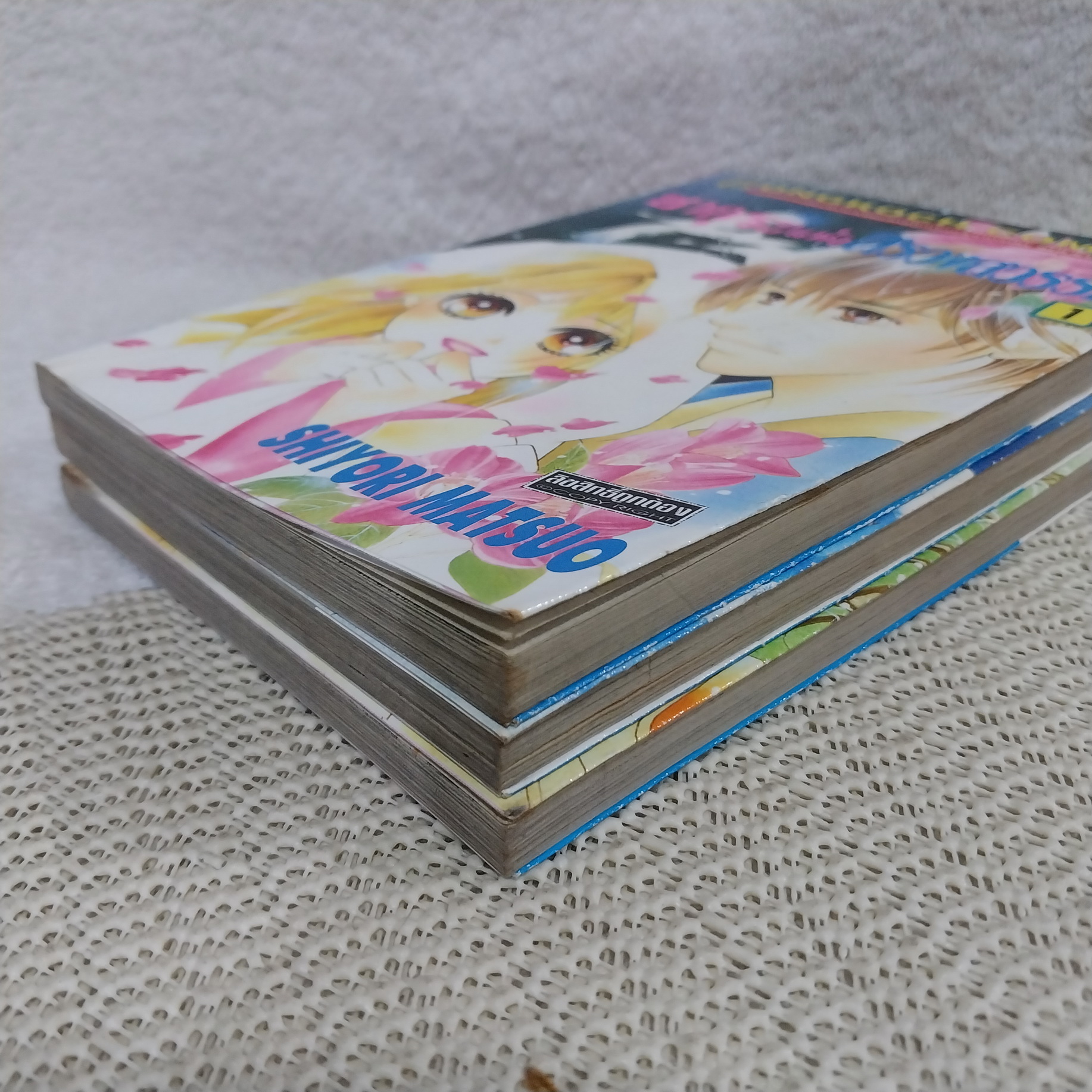 ซากุระแห่งสรวงสวรรค์ 1-3 จบ