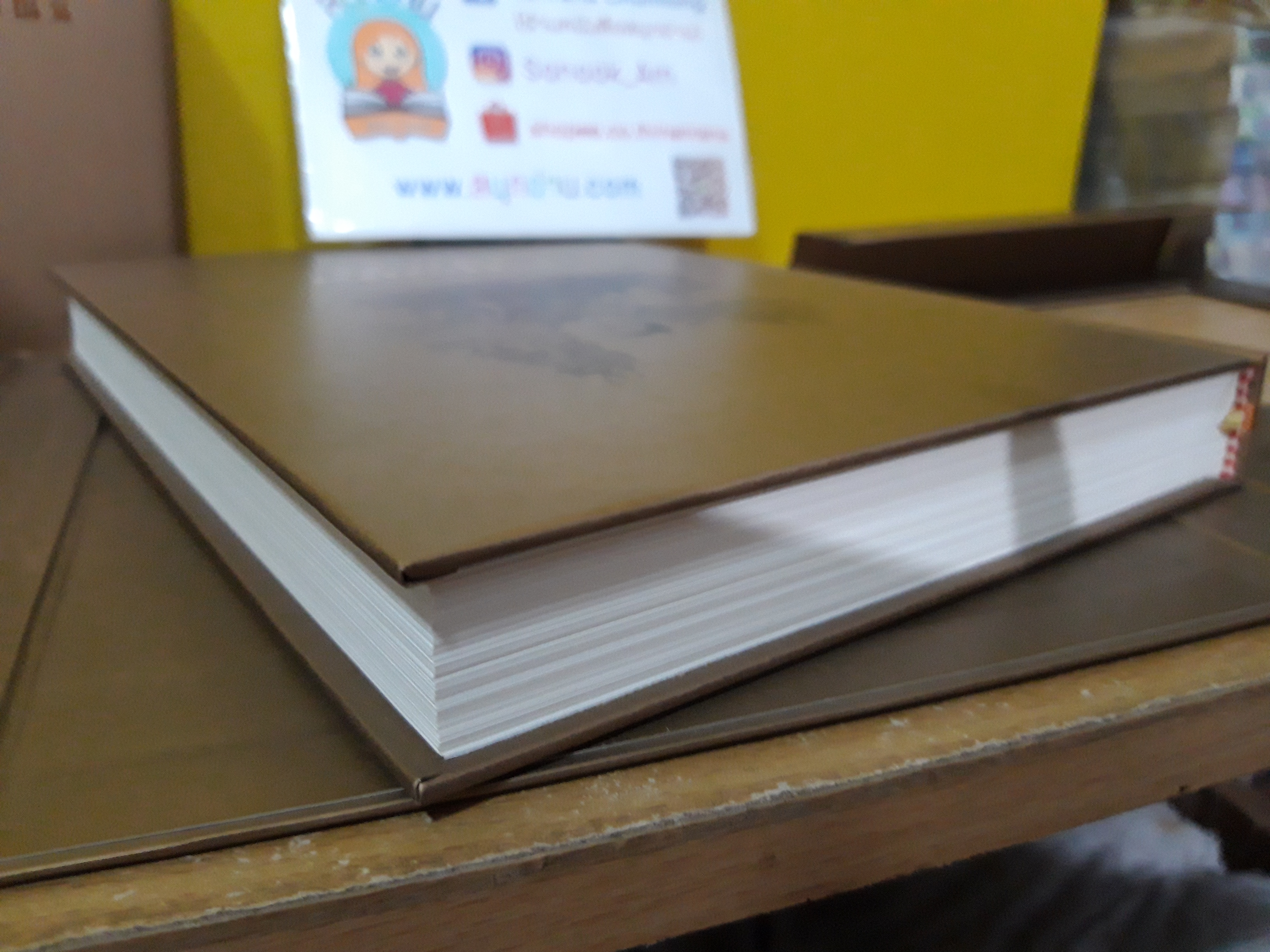บารมีพระแม่ป้อง ปกพื้นธรณิน (ฺปกแข็ง + Box Set) / แก้วเก้า