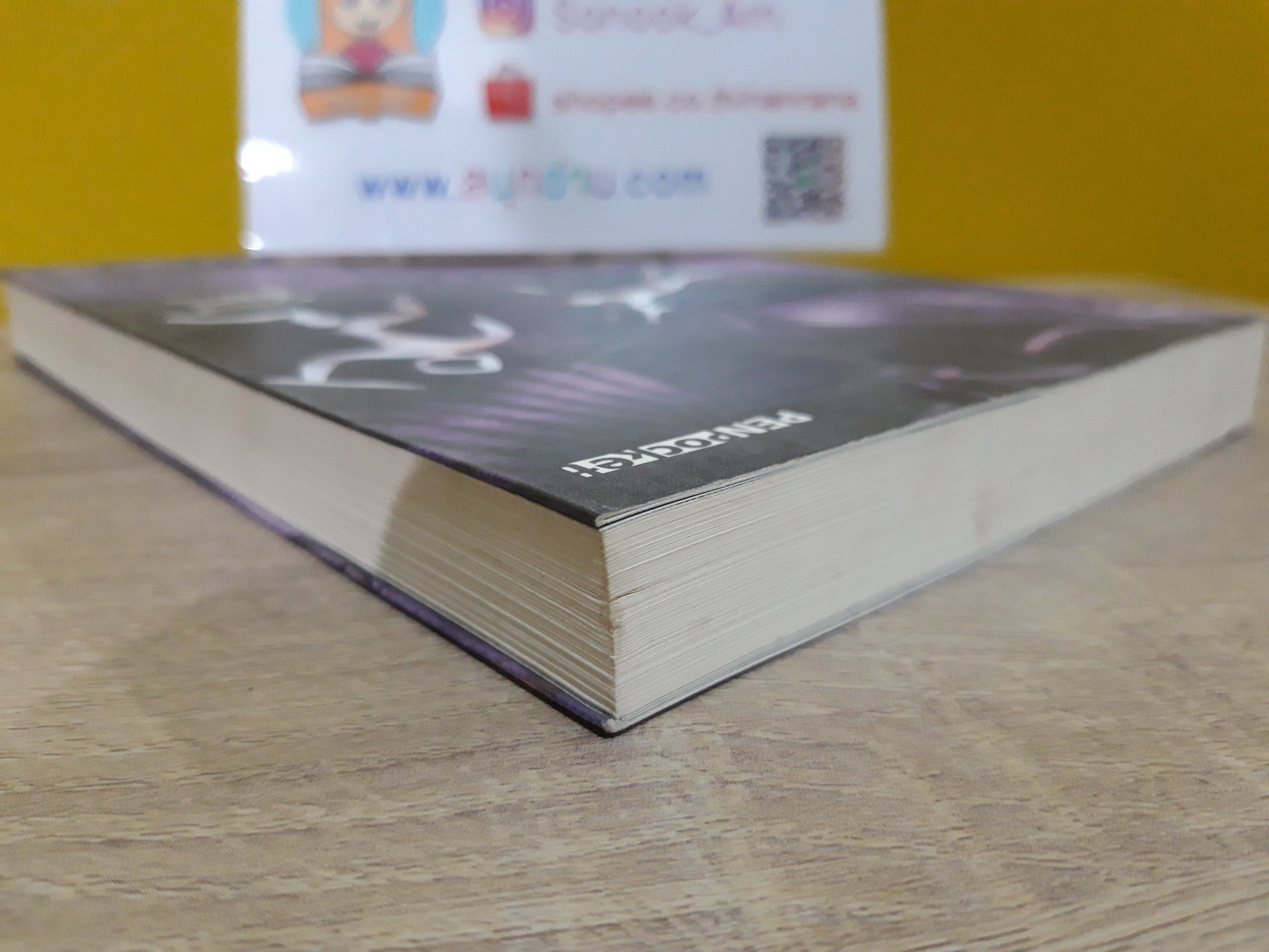 อาถรรพ์ดินแดนรัตติกาล เล่ม 6 ตอน นักล่าปีศาจ