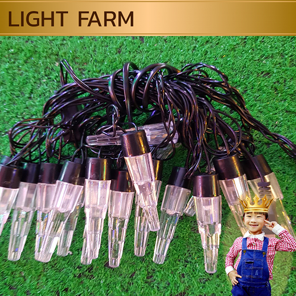 ไฟคริสมาส ไฟปีใหม่ ไฟแฟนซี 20 LED