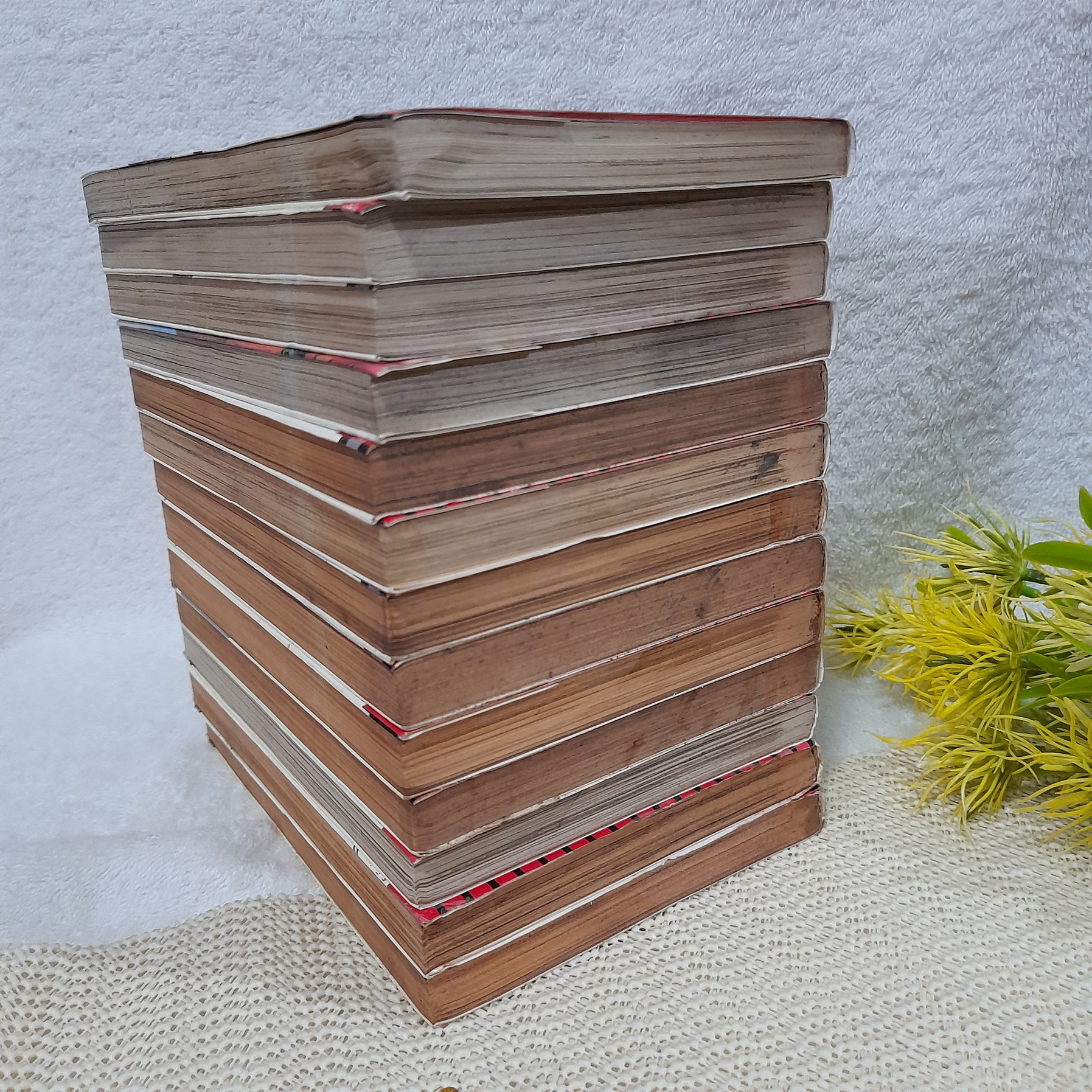 สลับร่างล้างอธรรม 1-13 ไม่จบ / * ขาดเล่ม 14-20