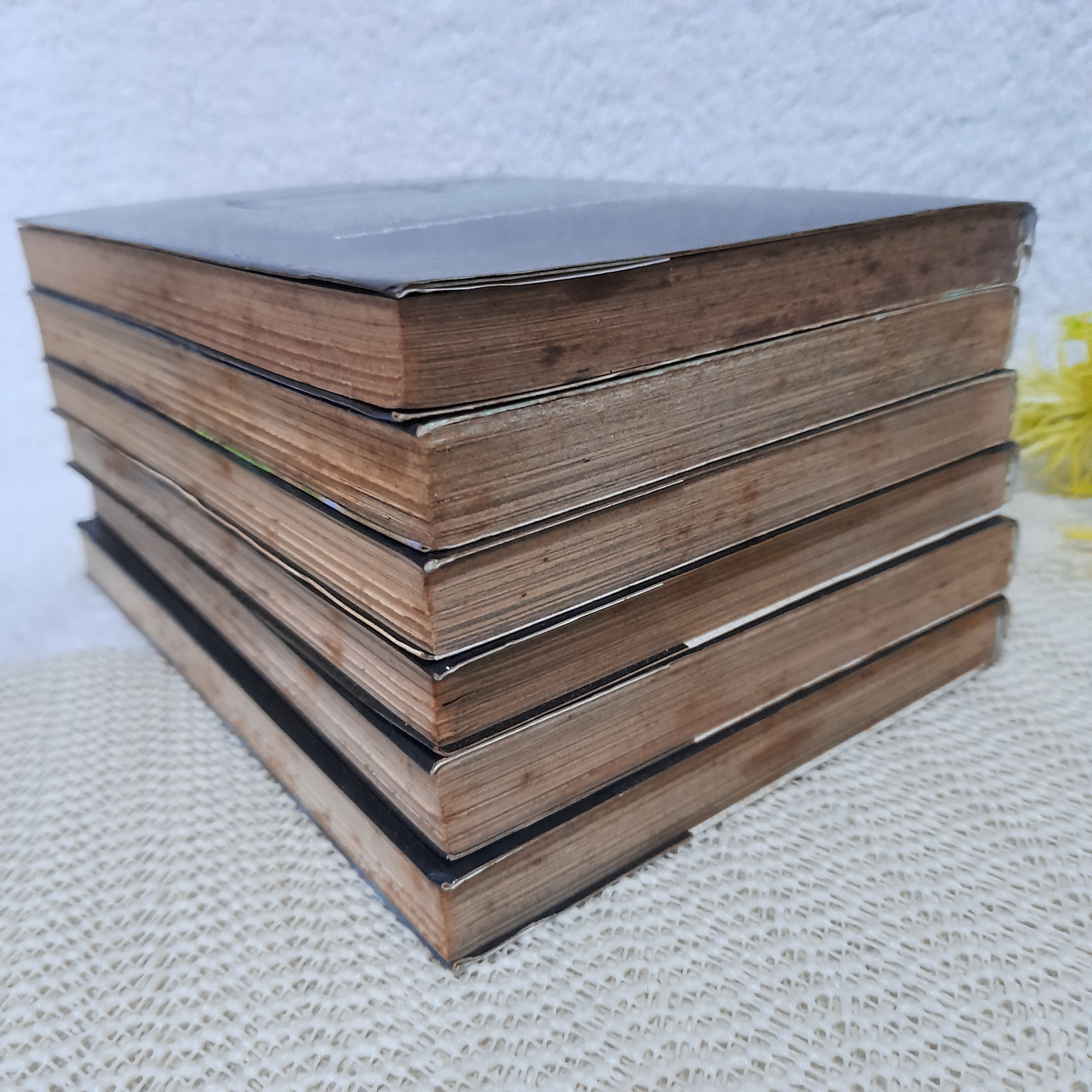 Gunnm Last Order 1-6 ไม่จบ