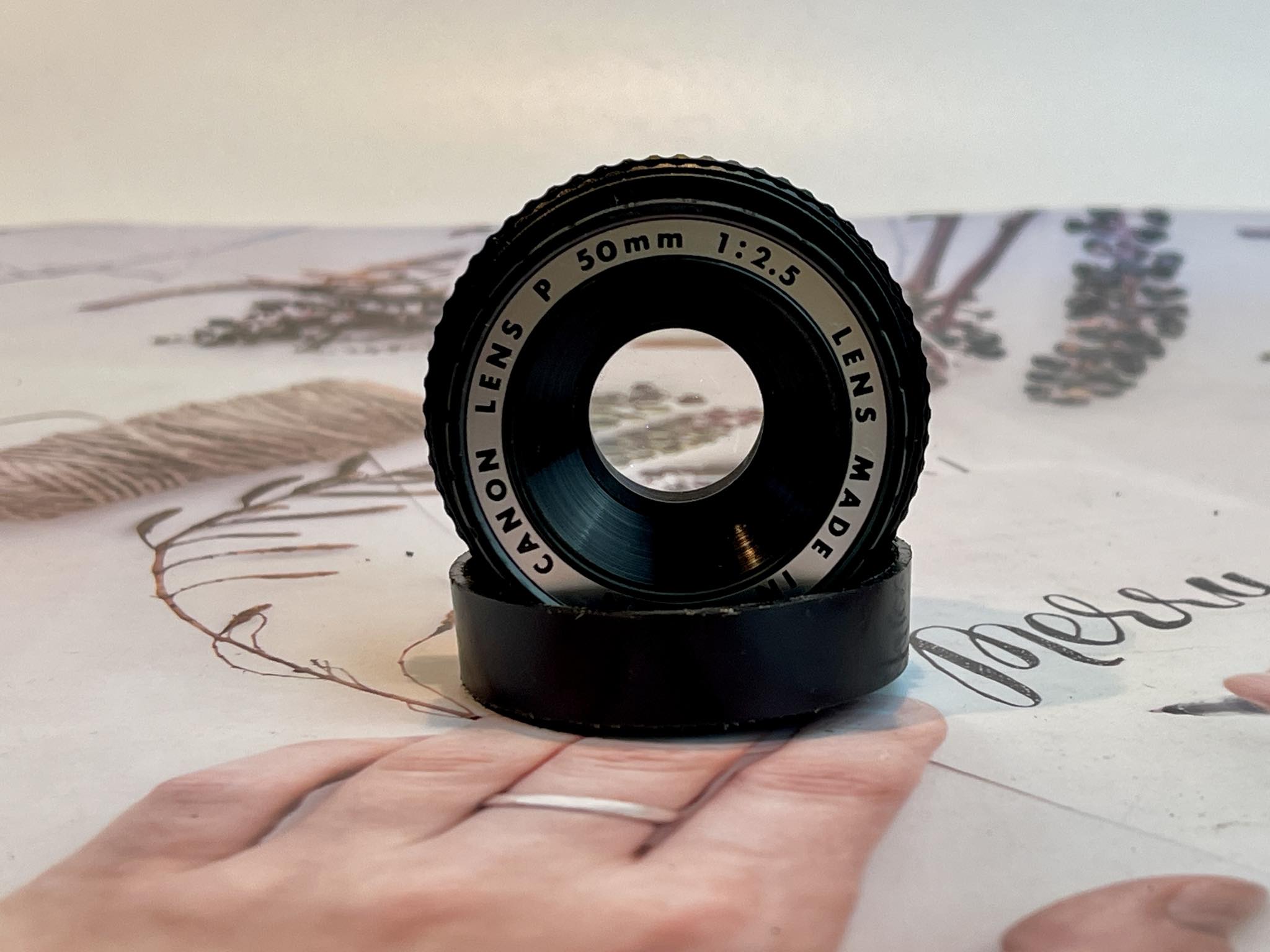CANON LENS P 50MM.F2.5 MODIFIED M42 MOUNT