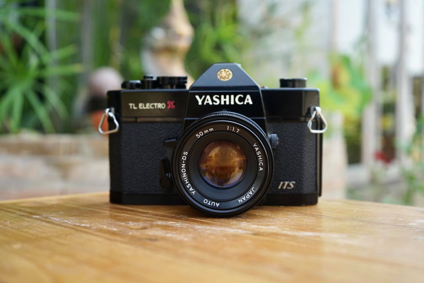 YASHICA TL ELECTRO X - ฟิล์มคาเมร่า เชียงใหม่ซ๊อป : Inspired