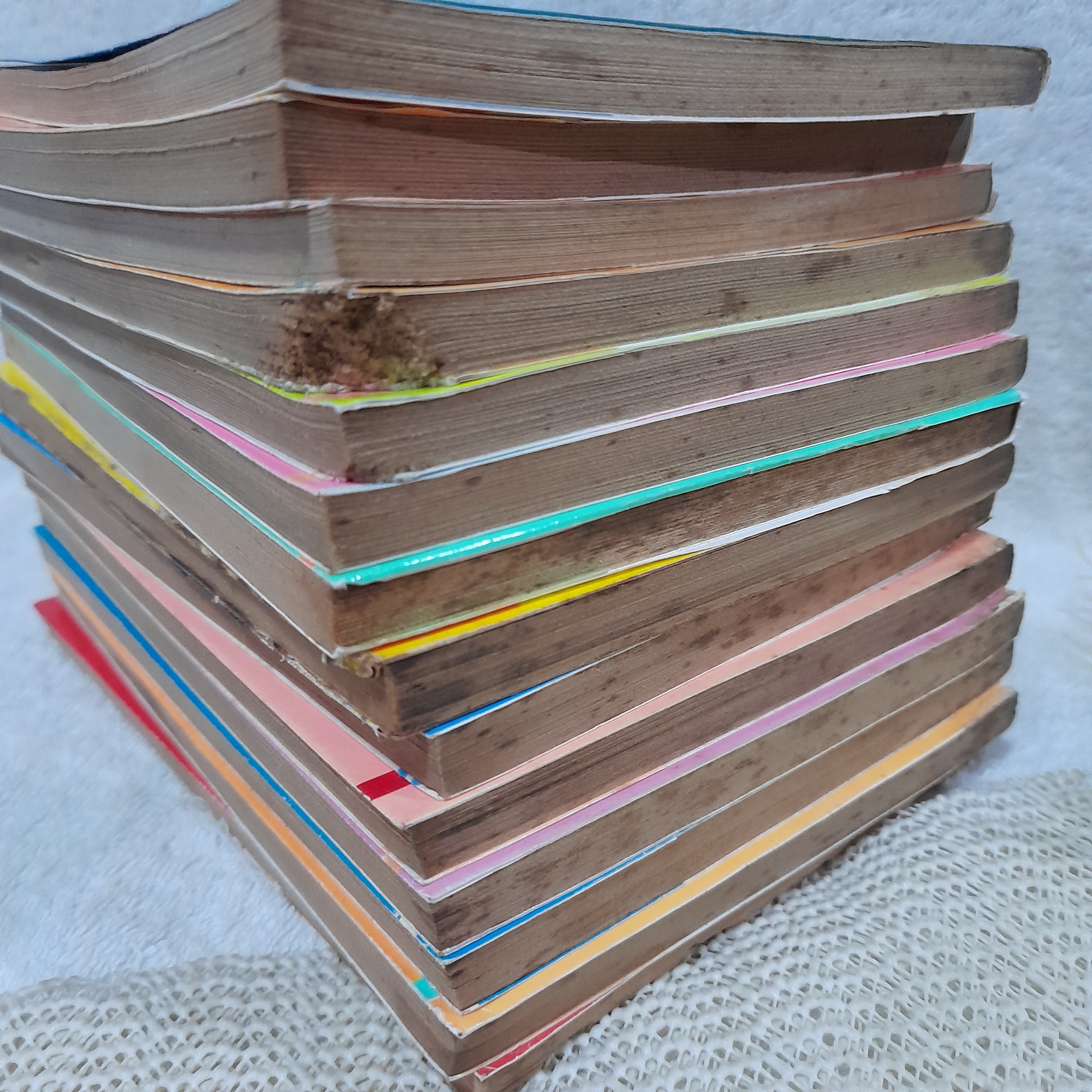 อมาริรีสโจรสาวเจ้าเสน่ห์ 1-14 จบ / Shinji Wada