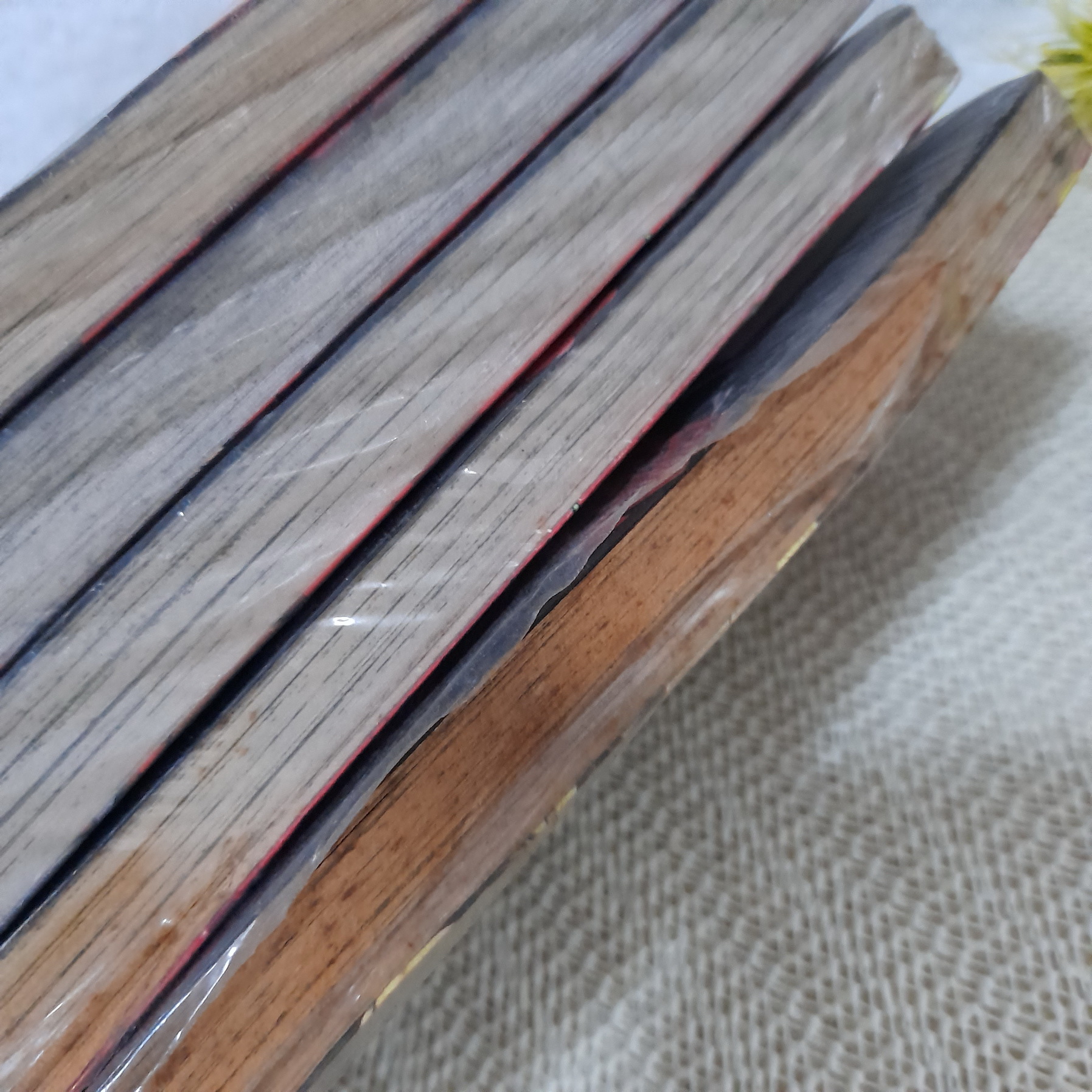 KNIGHTS - ไนท์ อัศวินผู้สังหารพระเจ้า 1-5 จบ