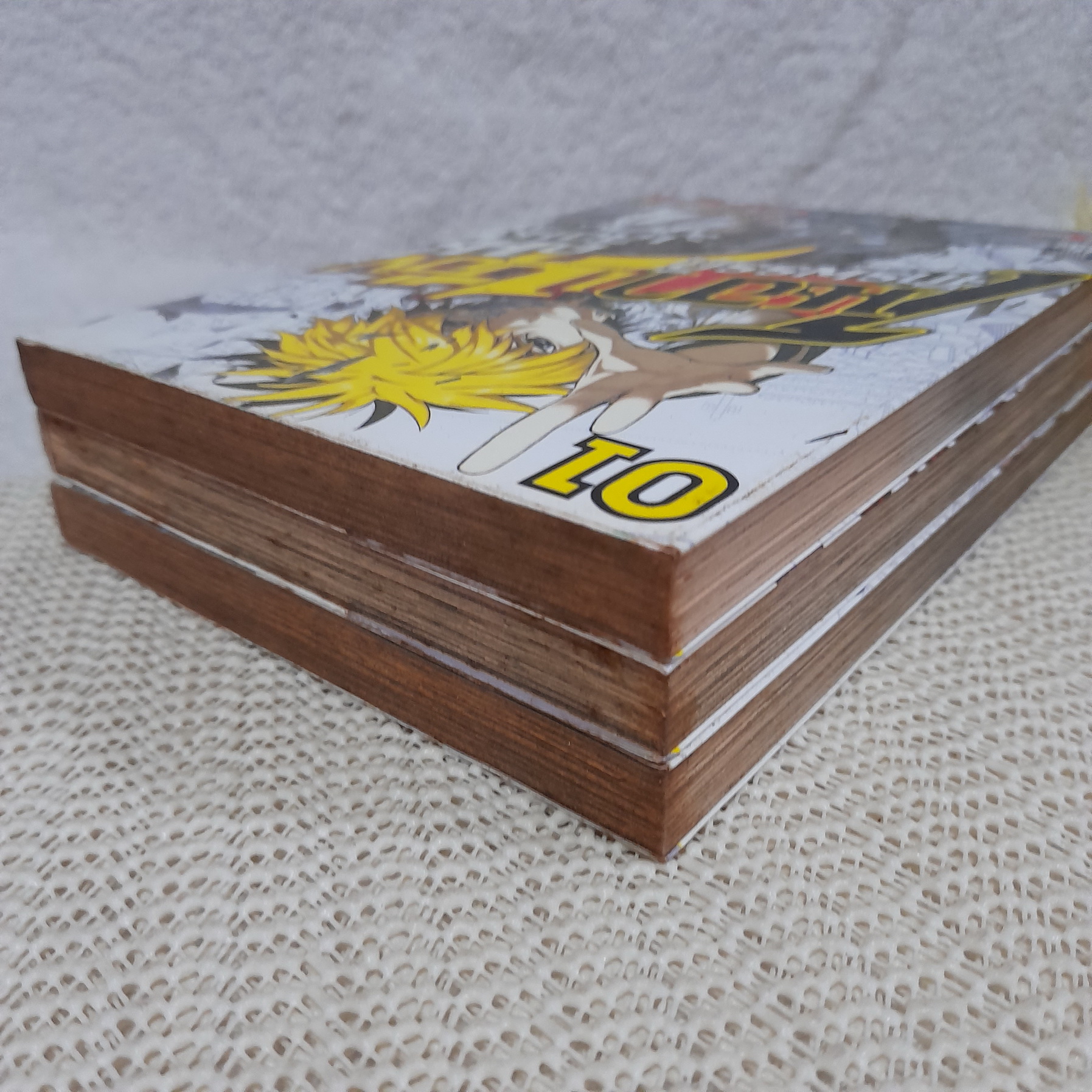 โนอา จักรพรรดิเมืองคนเลือน 1-3 จบ