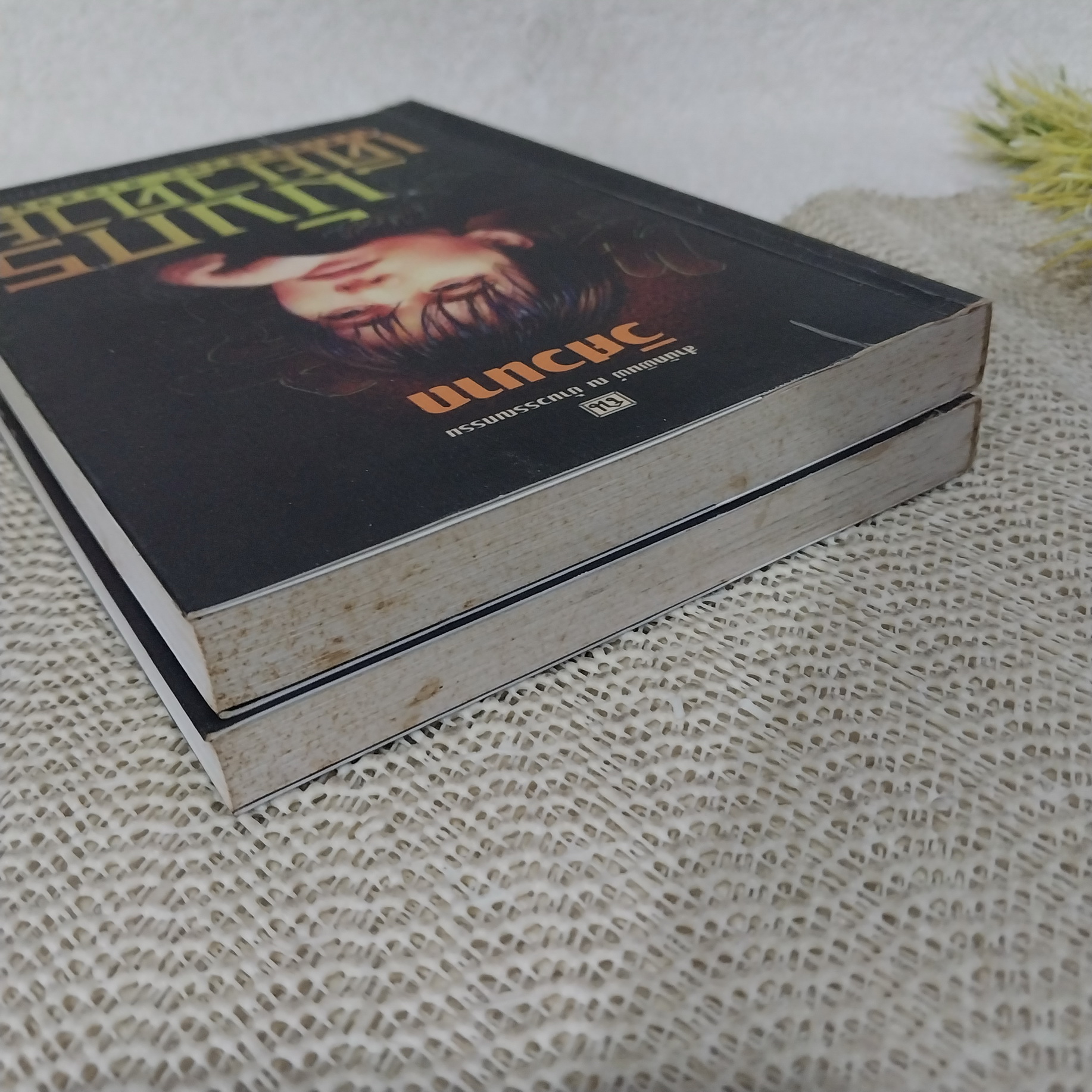 มังกรเดียวดาย / วิศวนาถ