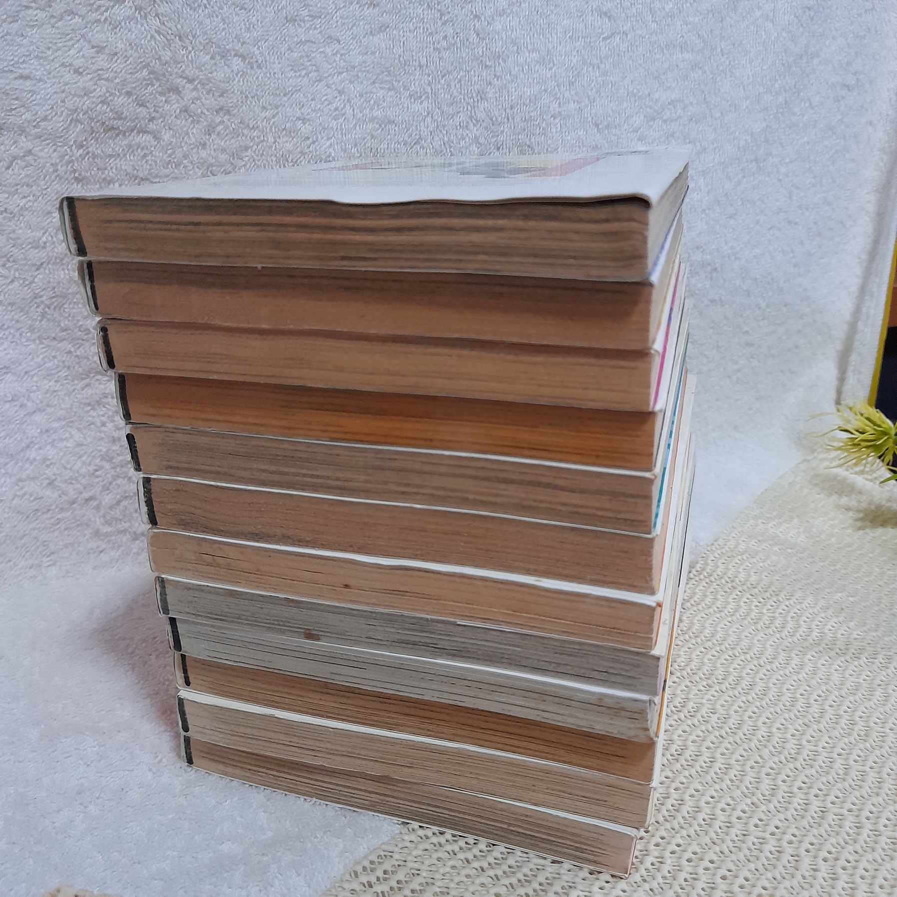 ชีวิตวุ่นวายสไตล์โคมาเมะ 1-12 จบ