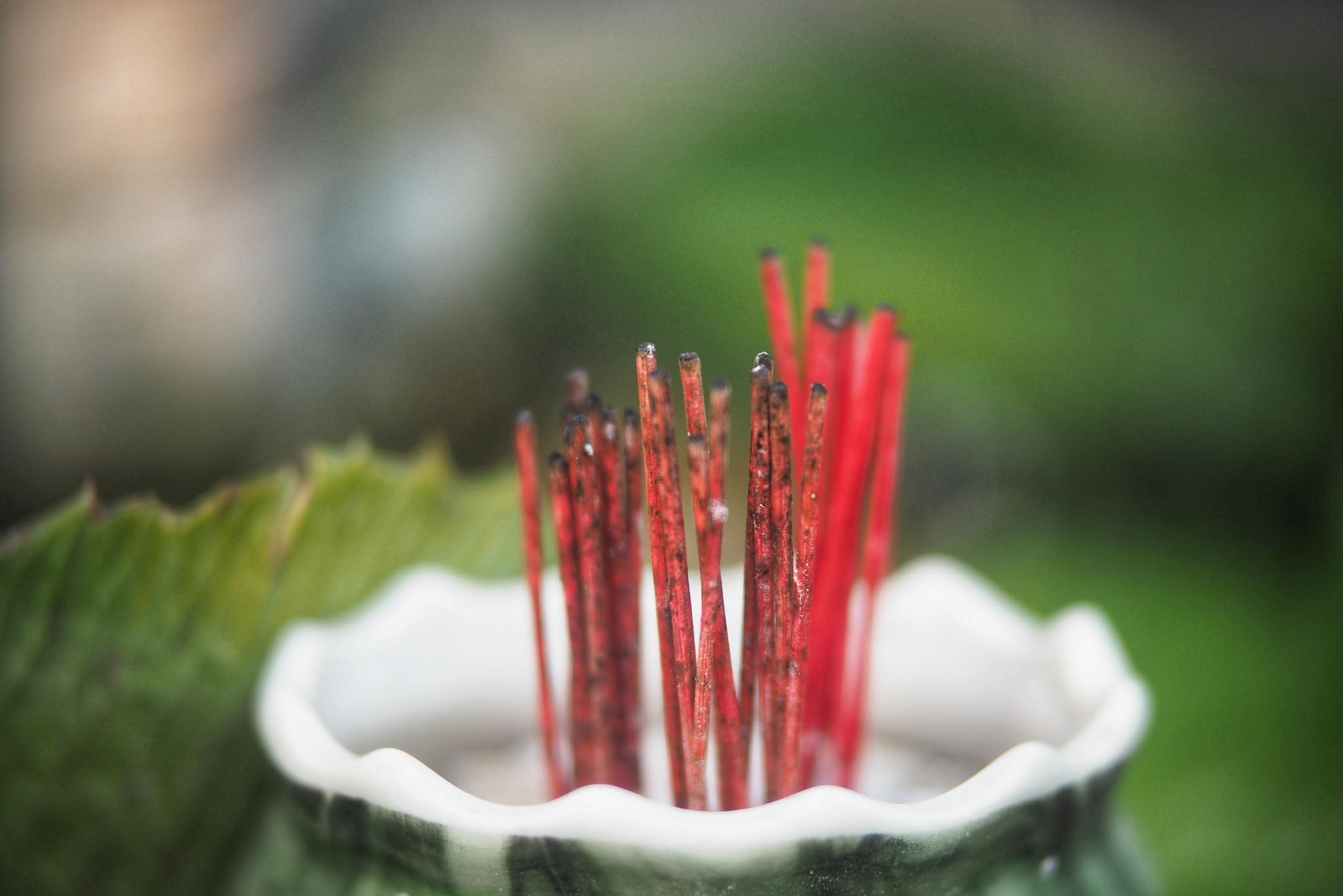 KINO-SANKYO 38MM.F1.4 MODIFIED M4/3 MOUNT