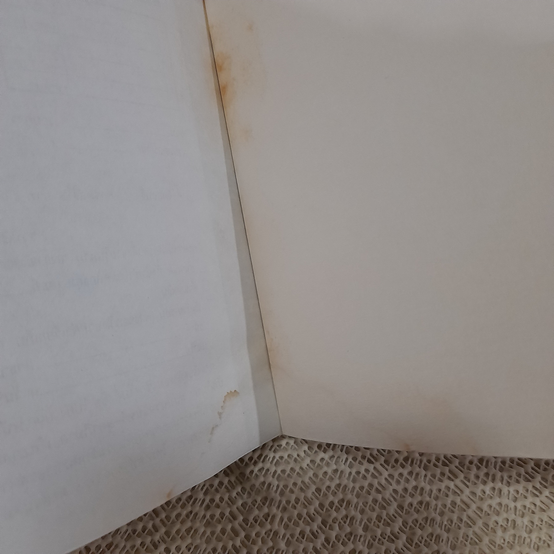 แต่งกับงาน / กนกเรขา