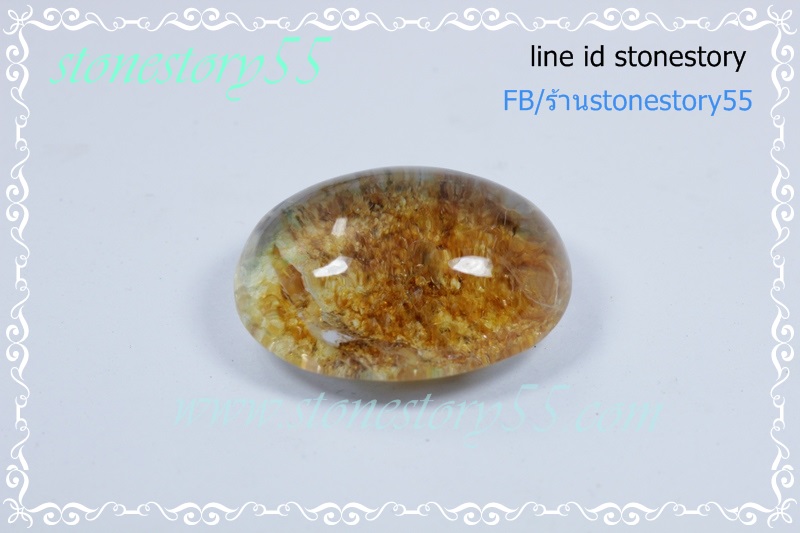 แก้วกาบสวยใสเนียน