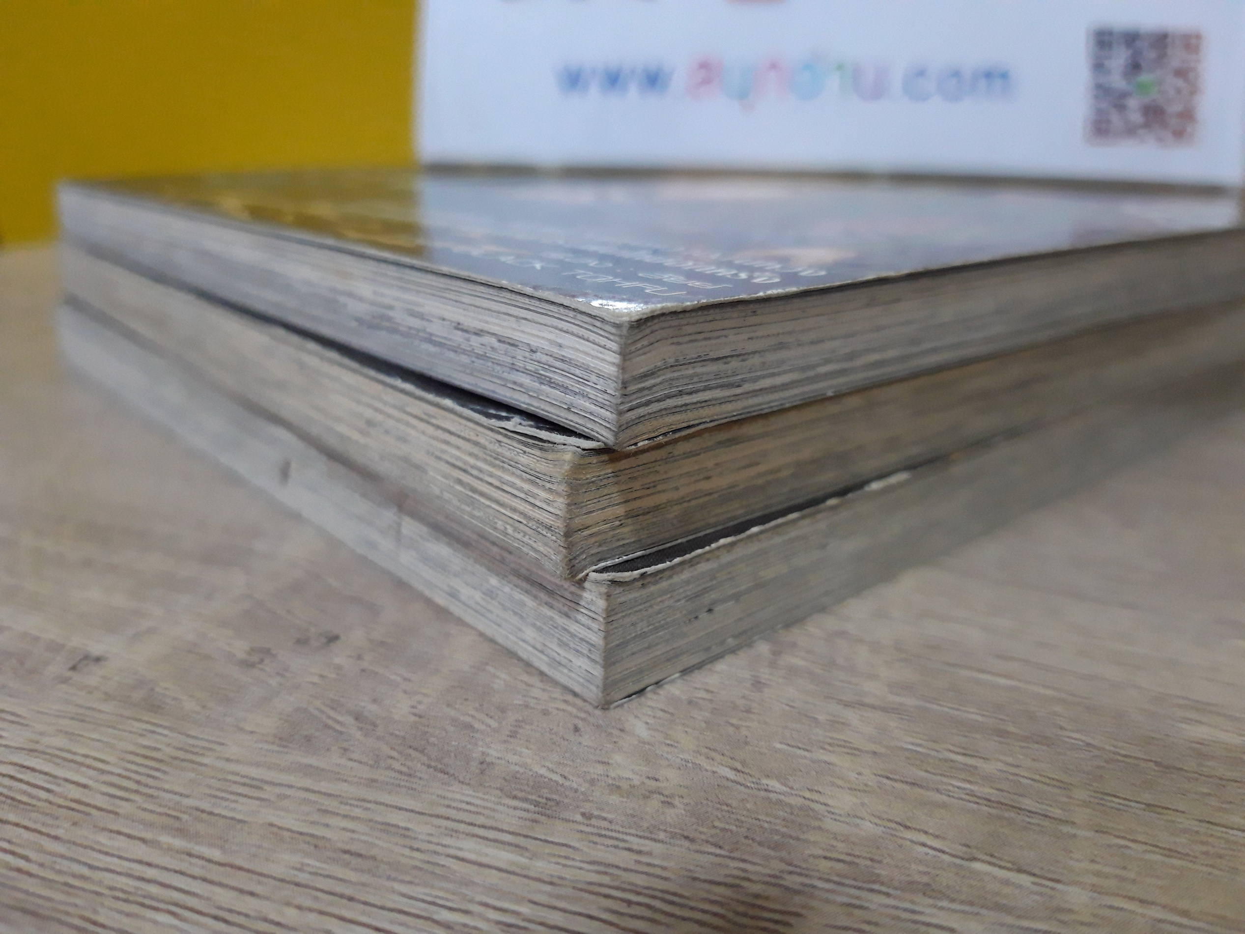 การิน ปริศนาคดีอาถรรพ์ คดีที่ 5 : สะพานข่ามอัสดงแห่งความตาย บทแรก / บทกลาง / บทจบ