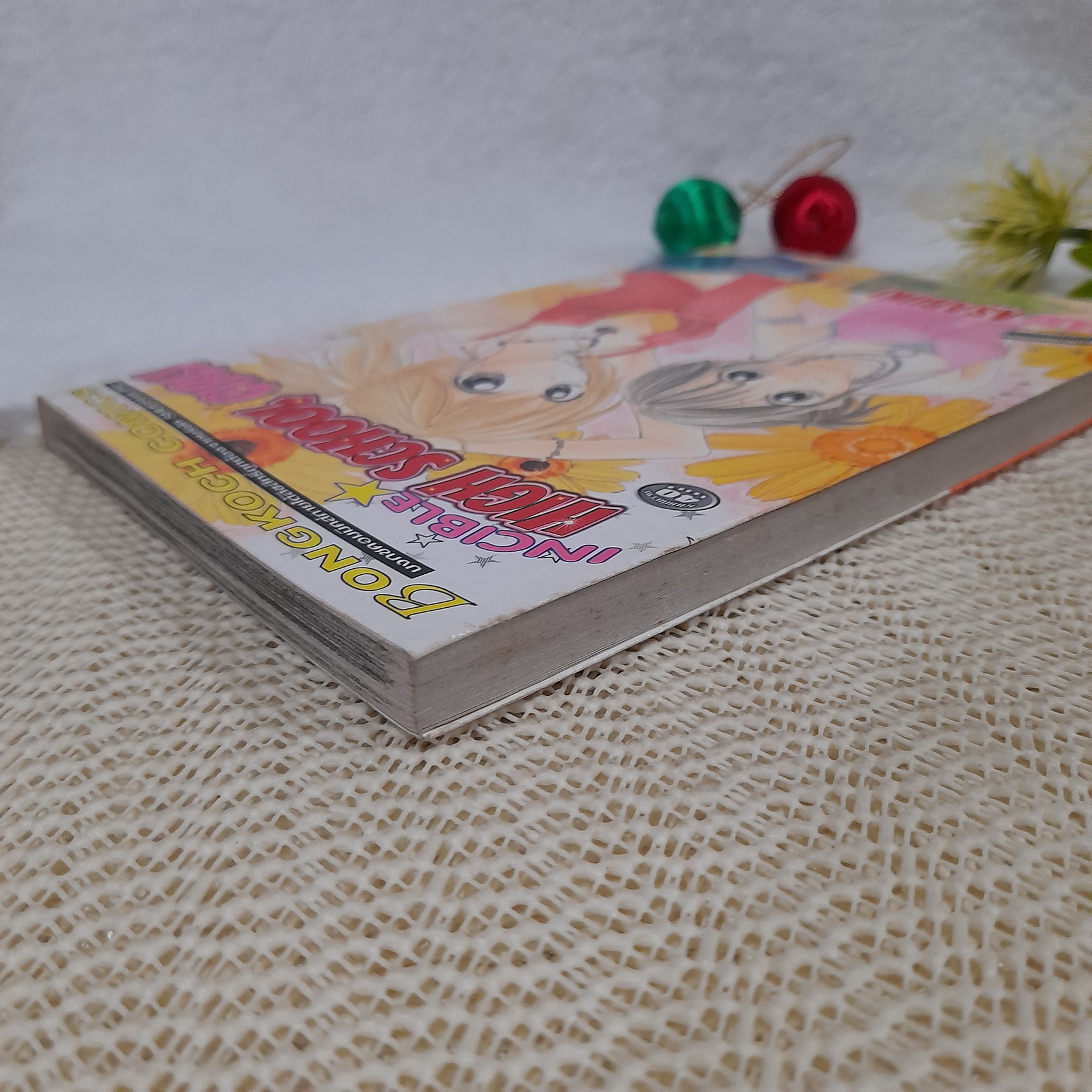 Incible High School Girls / Mari Asabuki