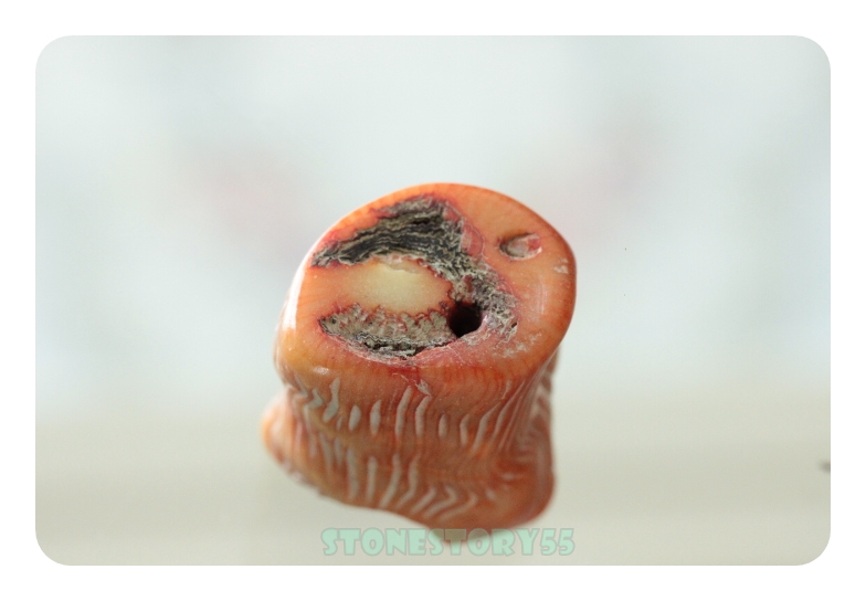 ลูกปัดปะกาลังแดง