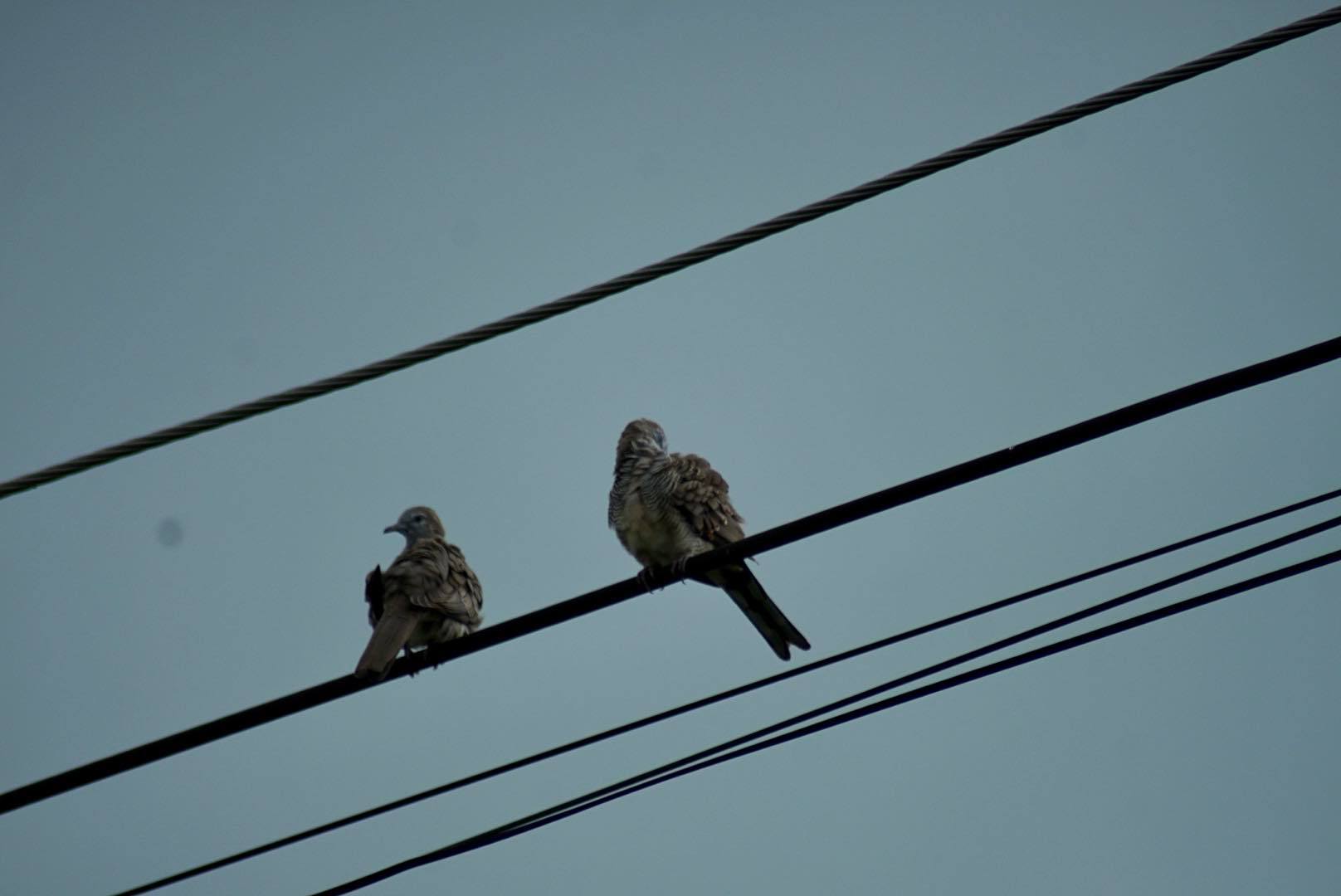 MINOLTA AF ZOOM 75-300MM.F4.5(32)-5.6(D) MA MOUNT