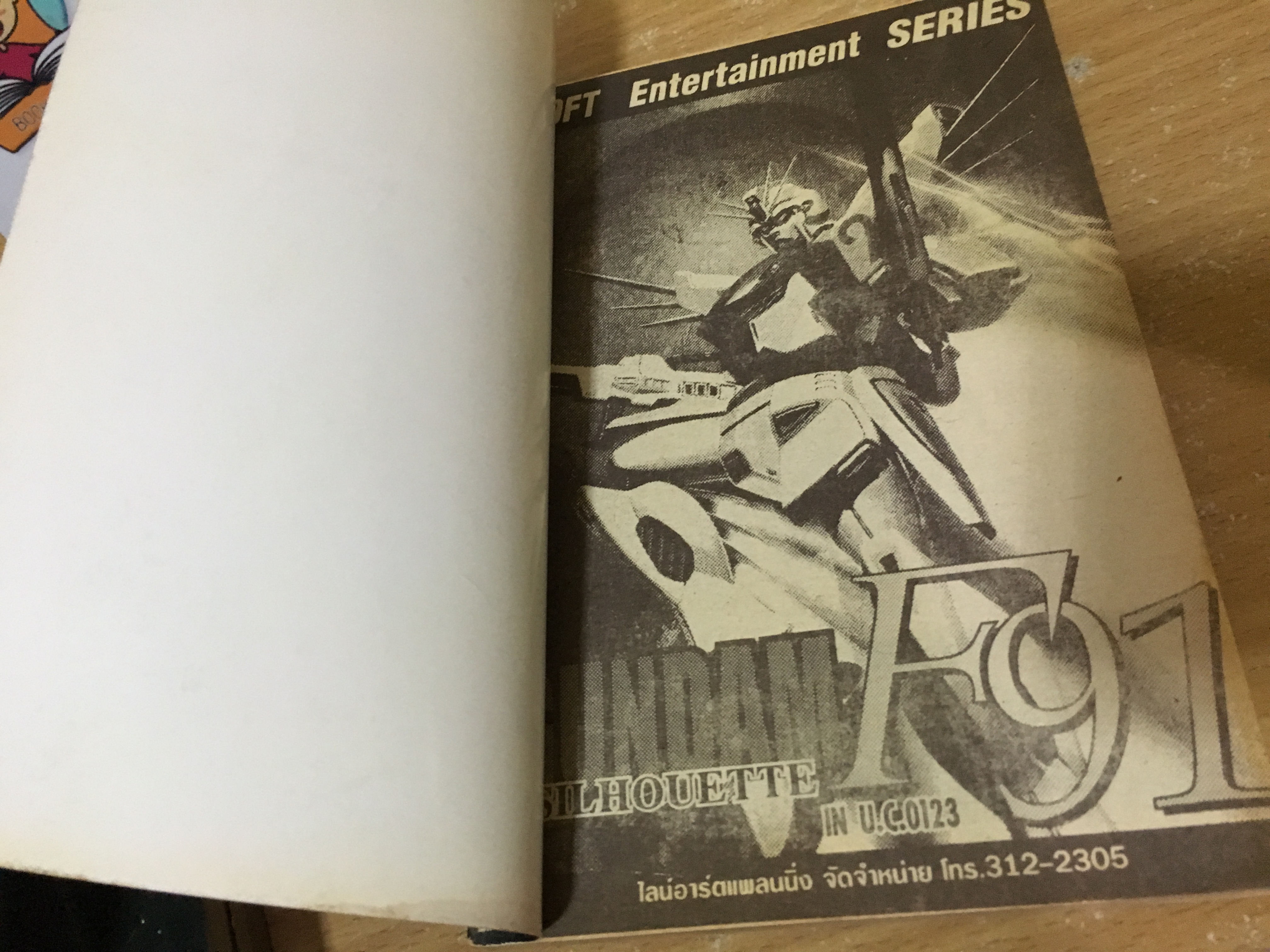 Gundam Silhouette F19