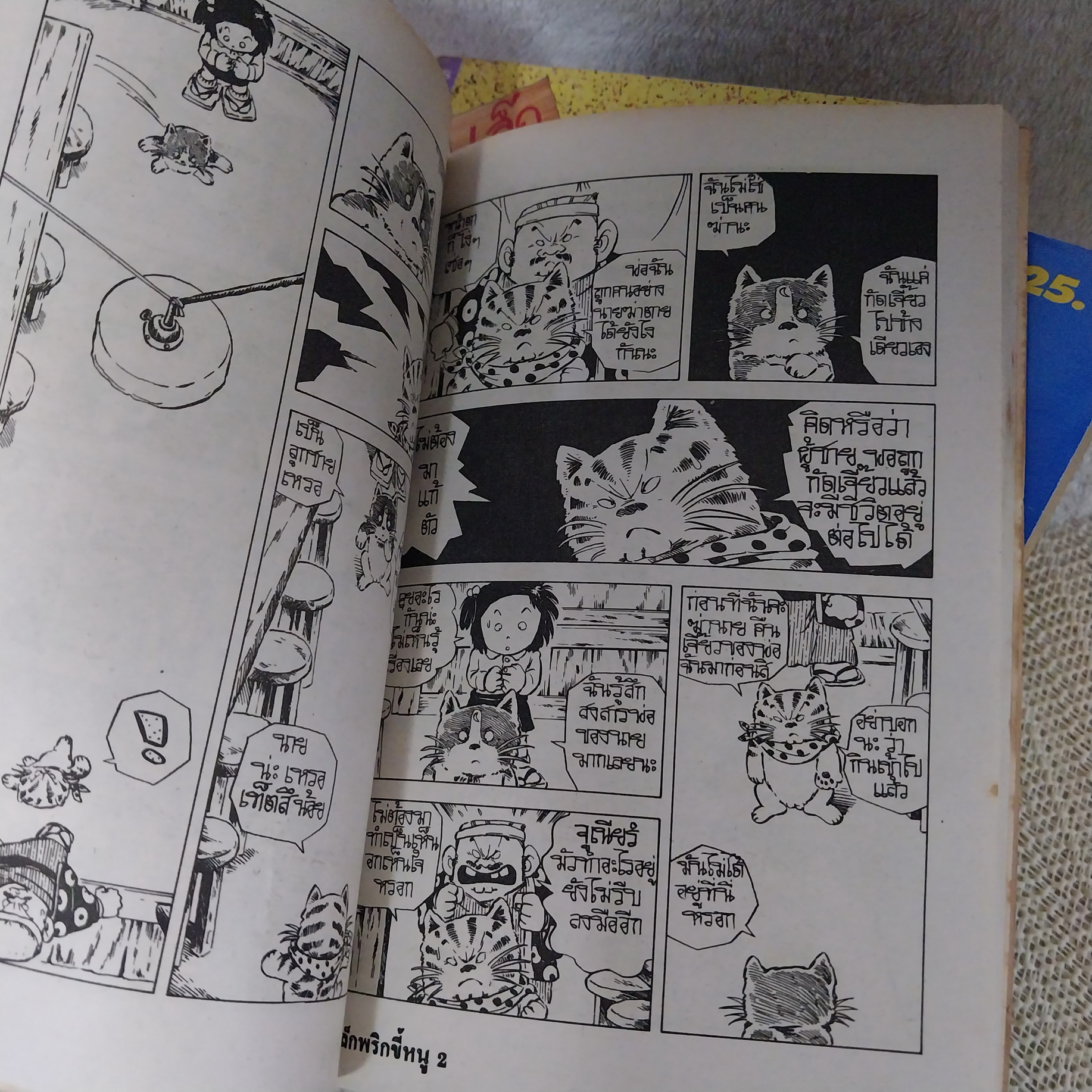 เล็กพริกขี้หนู JARINKO CHIE 1-14 ไม่จบ / * ขาดเล่ม 15-20 / ETSUMI HARUKI