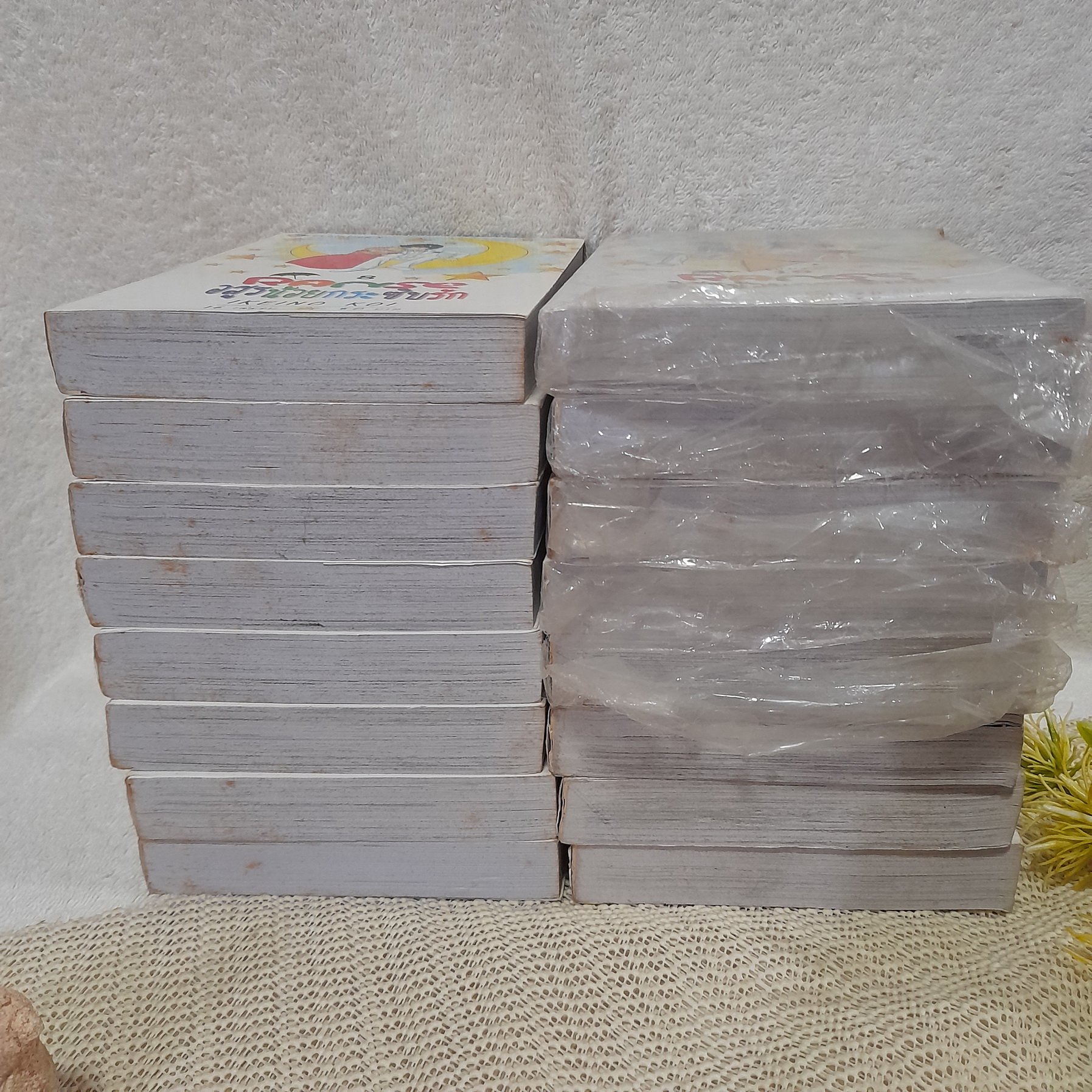 RANSE อสูรน้อยกระซิบรัก เล่ม 1-16 จบ