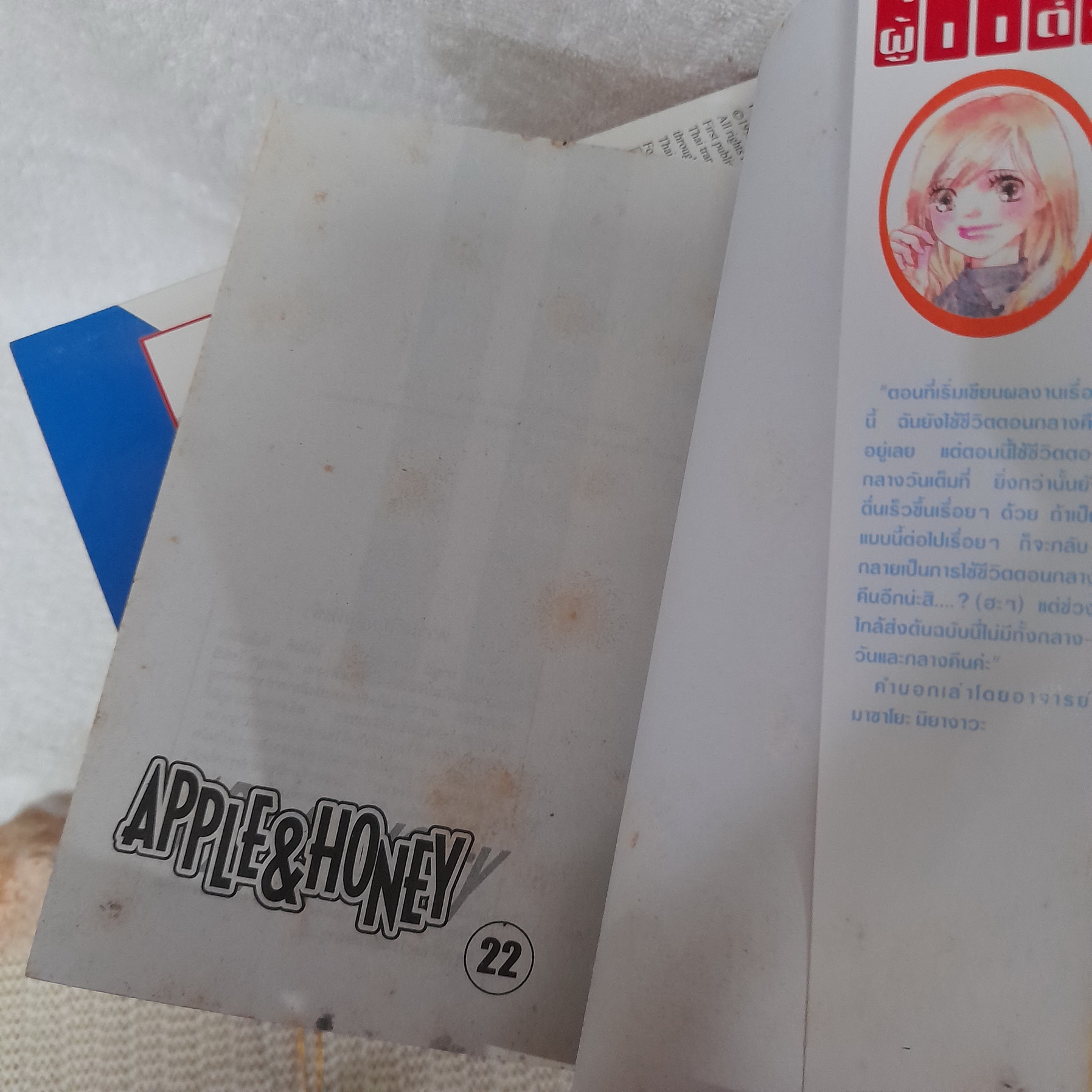 APPLE & HONEY 1-22 จบ