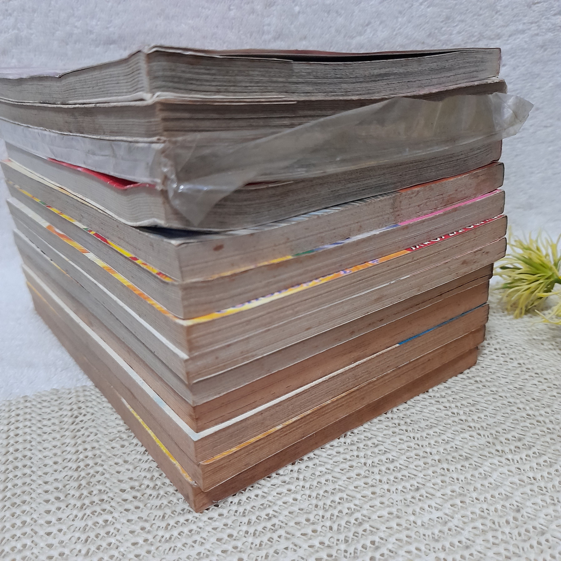 ขยับร็อค เขย่ารัก (พิมพ์ผสม) : เล่ม 1,3-10 (สนพ. New Project) + ต่อด้วย จังหวะร็อคดนตรีรัก เล่ม 12 ,15-17 จบ (สนพ.บงกช) / Mayu Shinjo