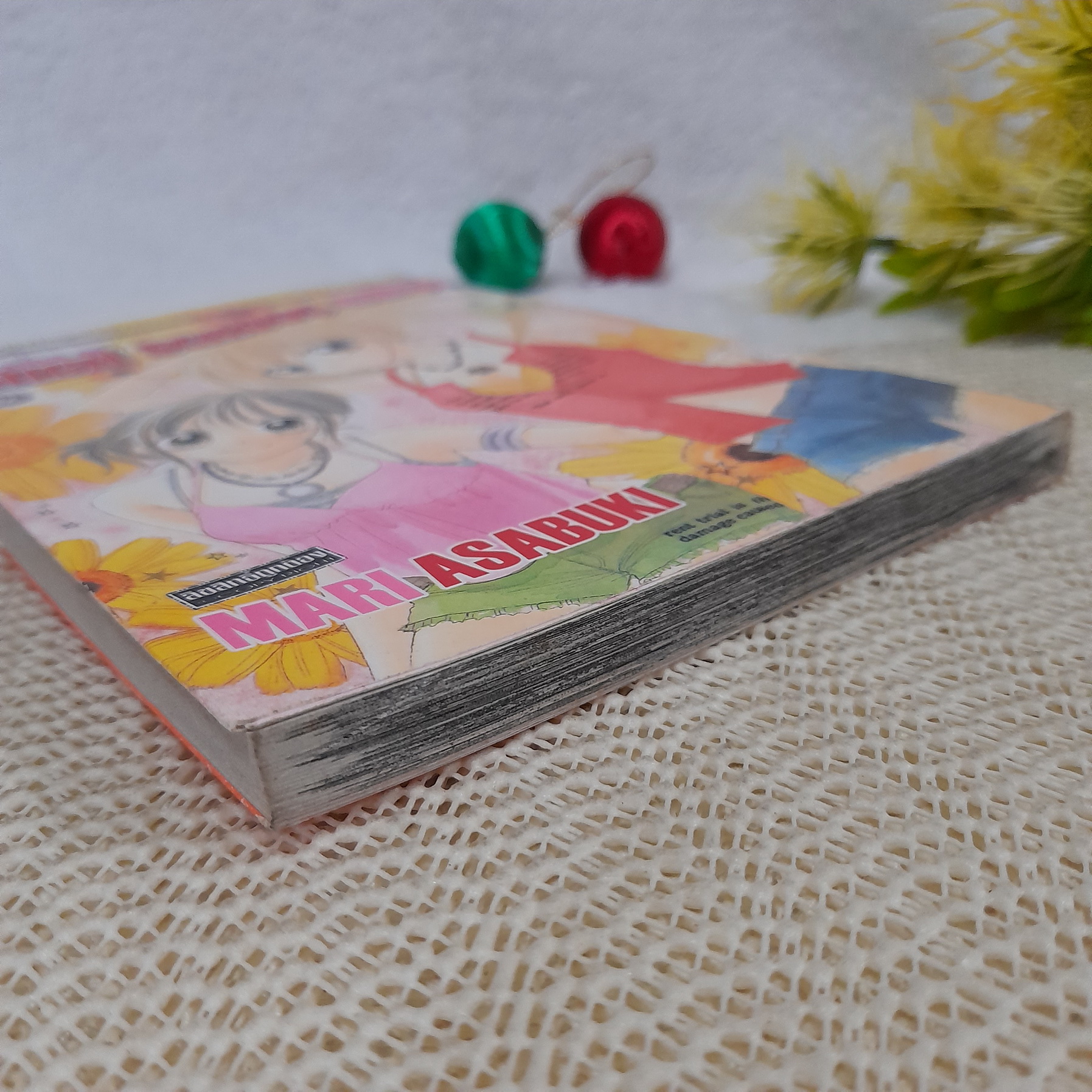 Incible High School Girls / Mari Asabuki