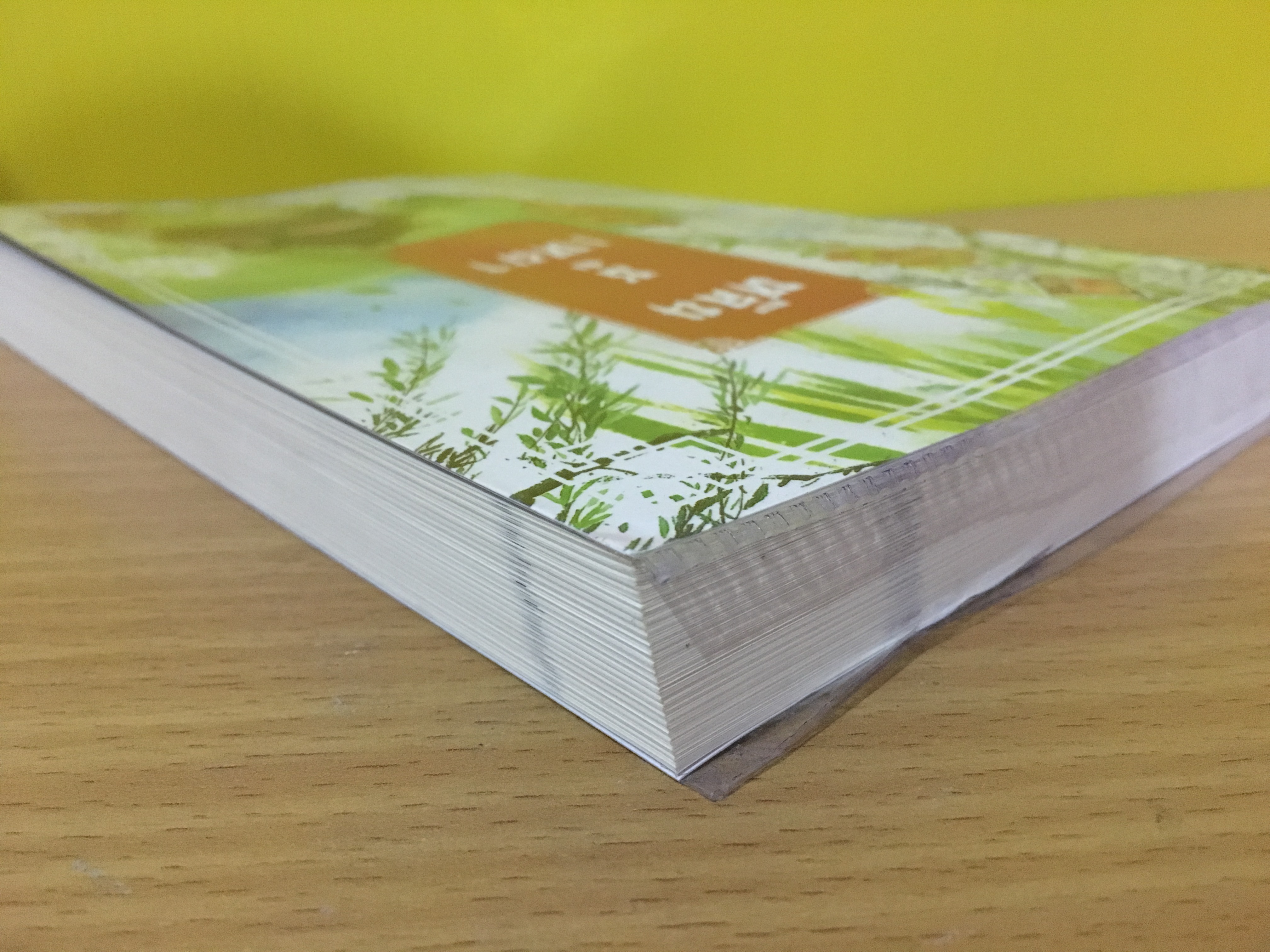 หลินซูเหยา / เหม่ย เหม่ย