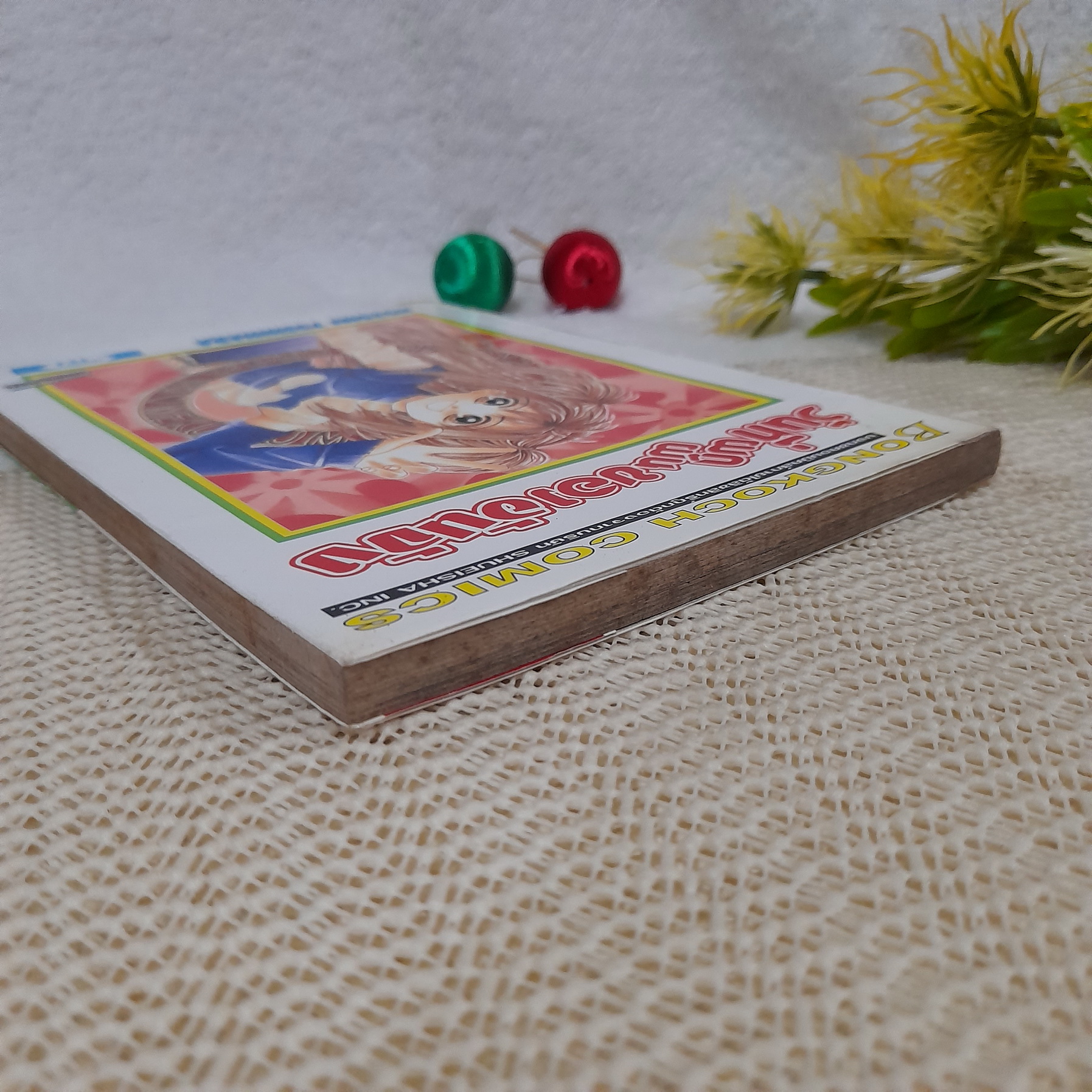 วันที่ผกผันของอันจัง / Nozomi Yoshihara