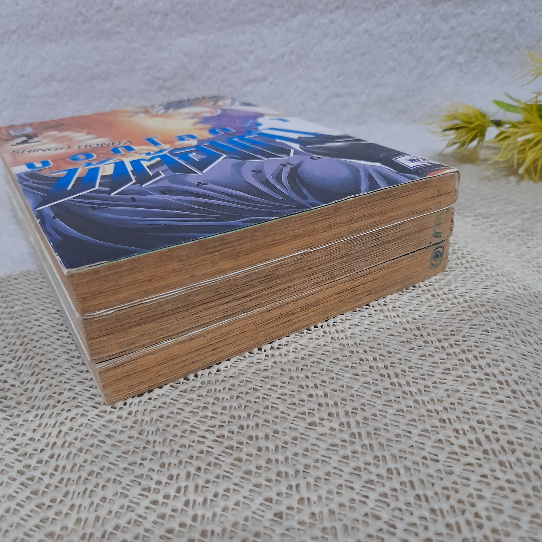 บอกโลกว่าข้าต้องเก่ง 2-4 จบ / *ขาดเล่ม 1