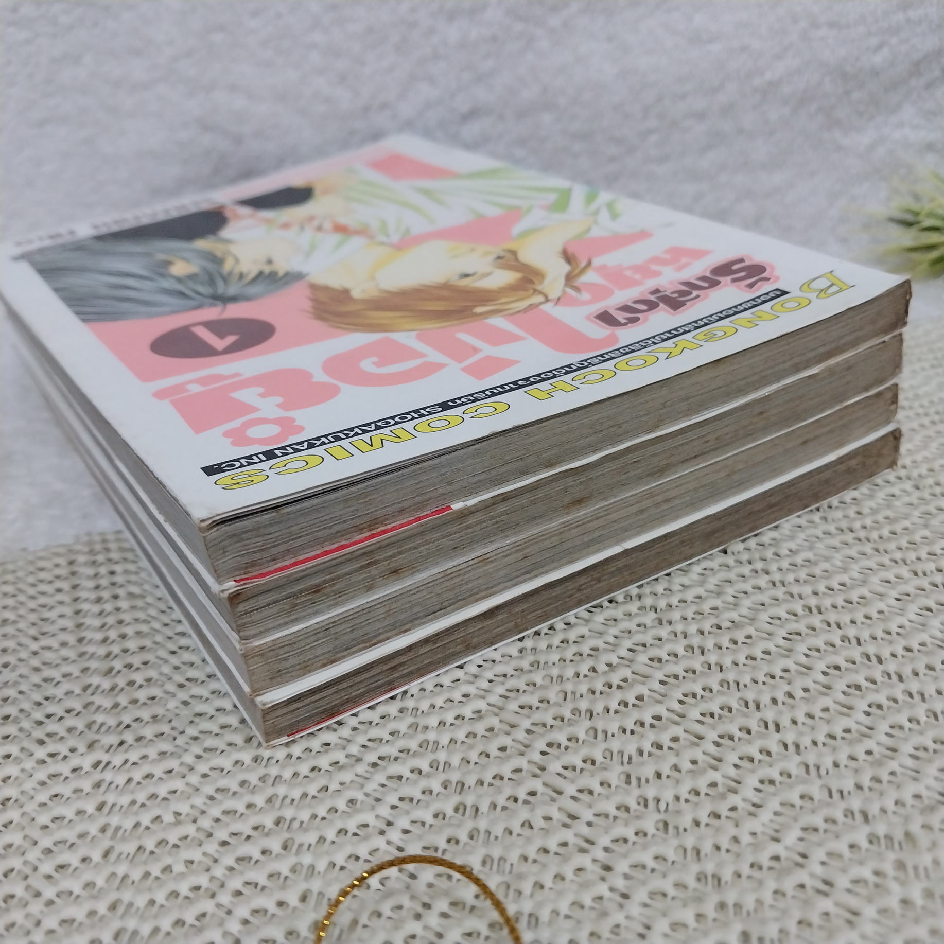 รักสุดๆ หยุดไม่อยู่ 1-4 จบ