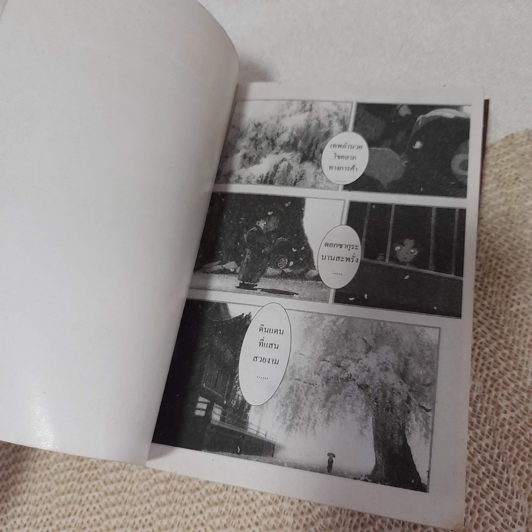 โคนัน ตอน สี่แยกปริศนา 1-3 จบ