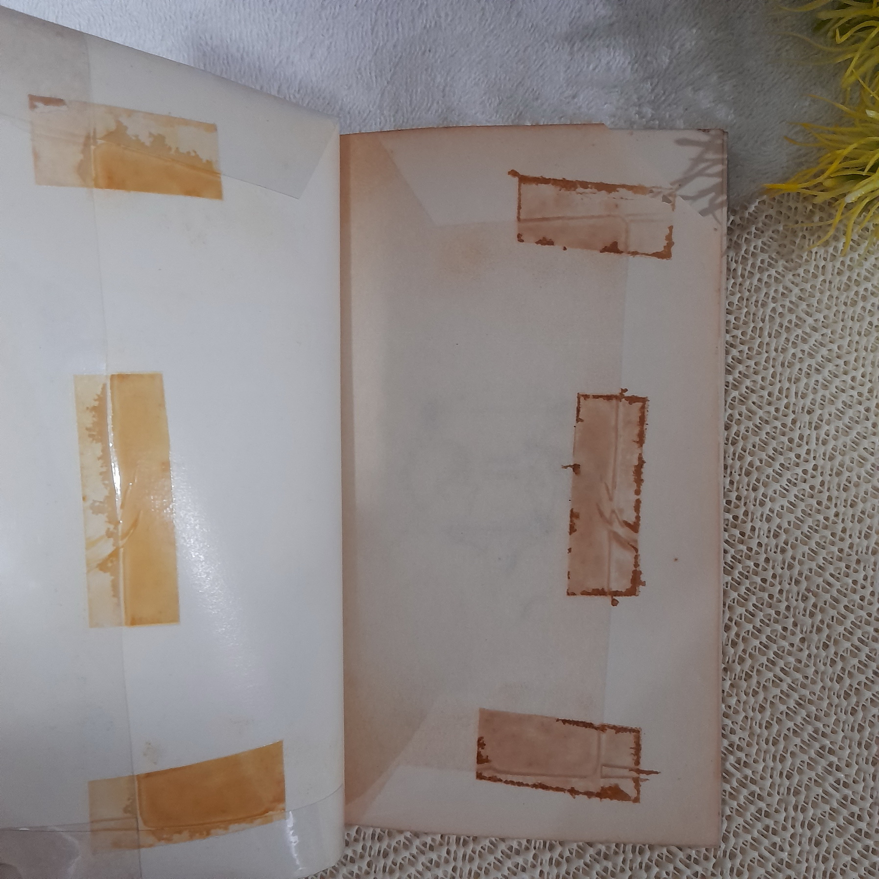 อสุรกายอวกาศ (Space Vampire) / Edward Packard