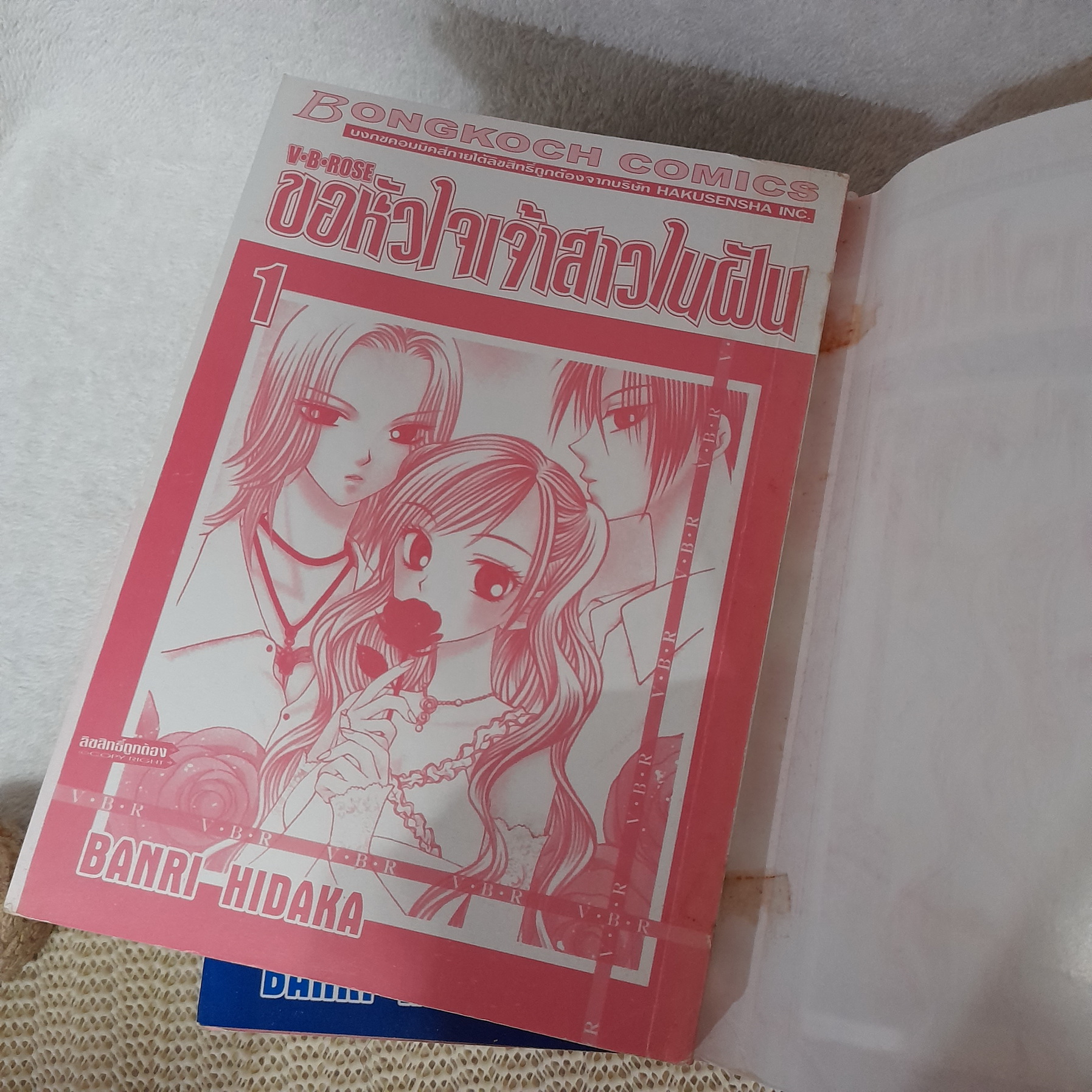 ขอหัวใจเจ้าสาวในฝัน 1-8 ไม่จบ / * ขาดเล่ม 9-14