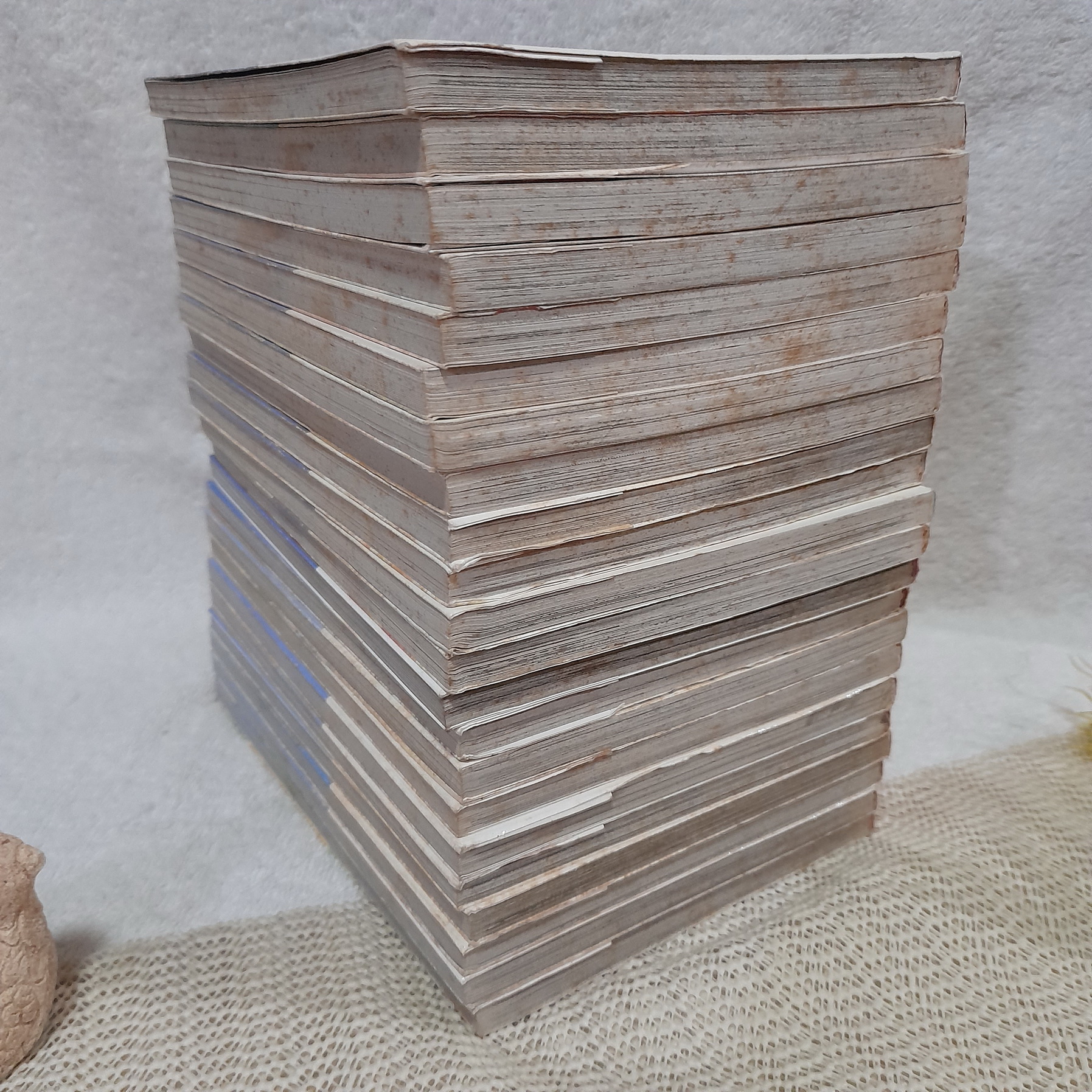 APPLE & HONEY 1-22 จบ