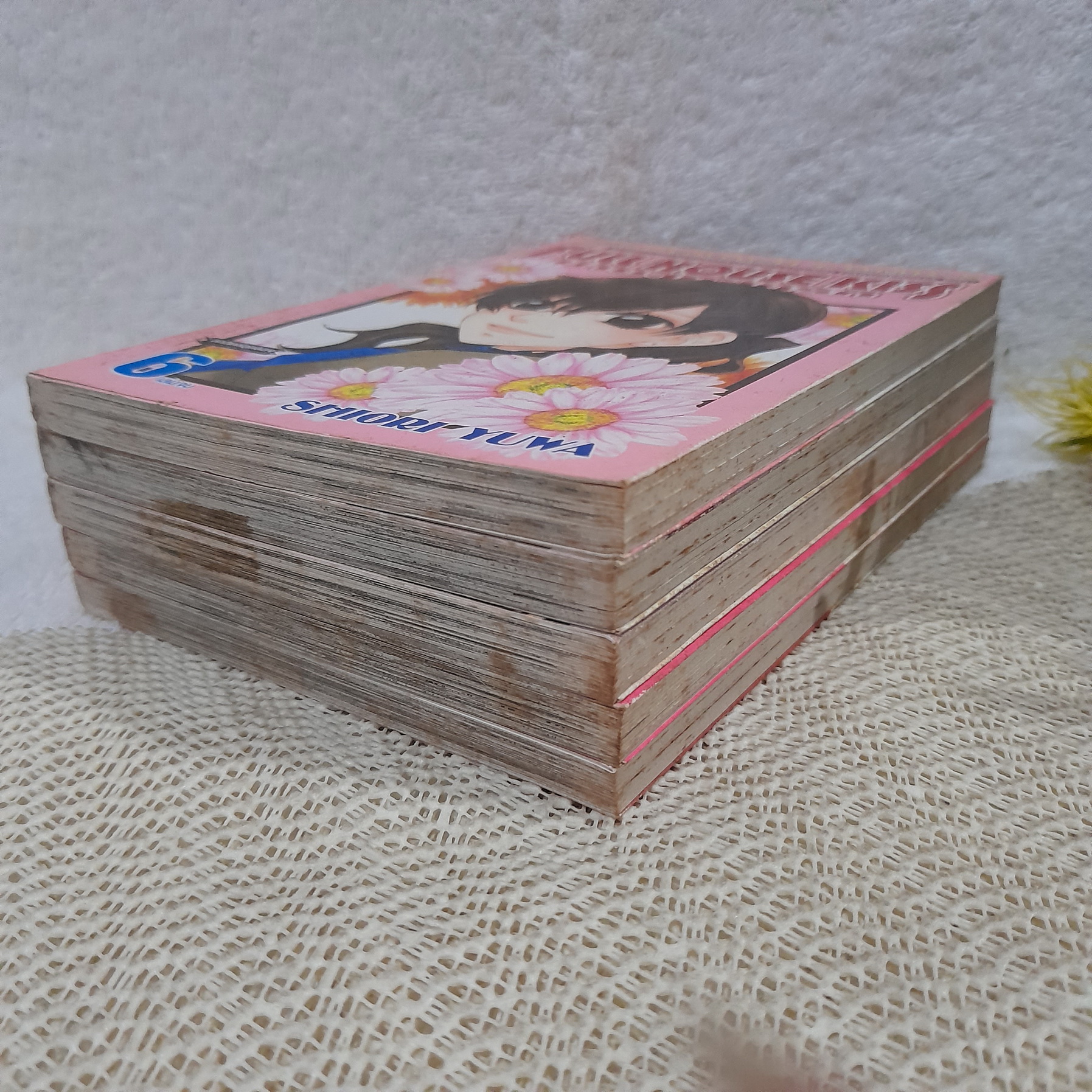 FULL HOUSE KISS บ้านวุ่นลุ้นรัก 2-6 จบ / * ขาดเล่ม 1