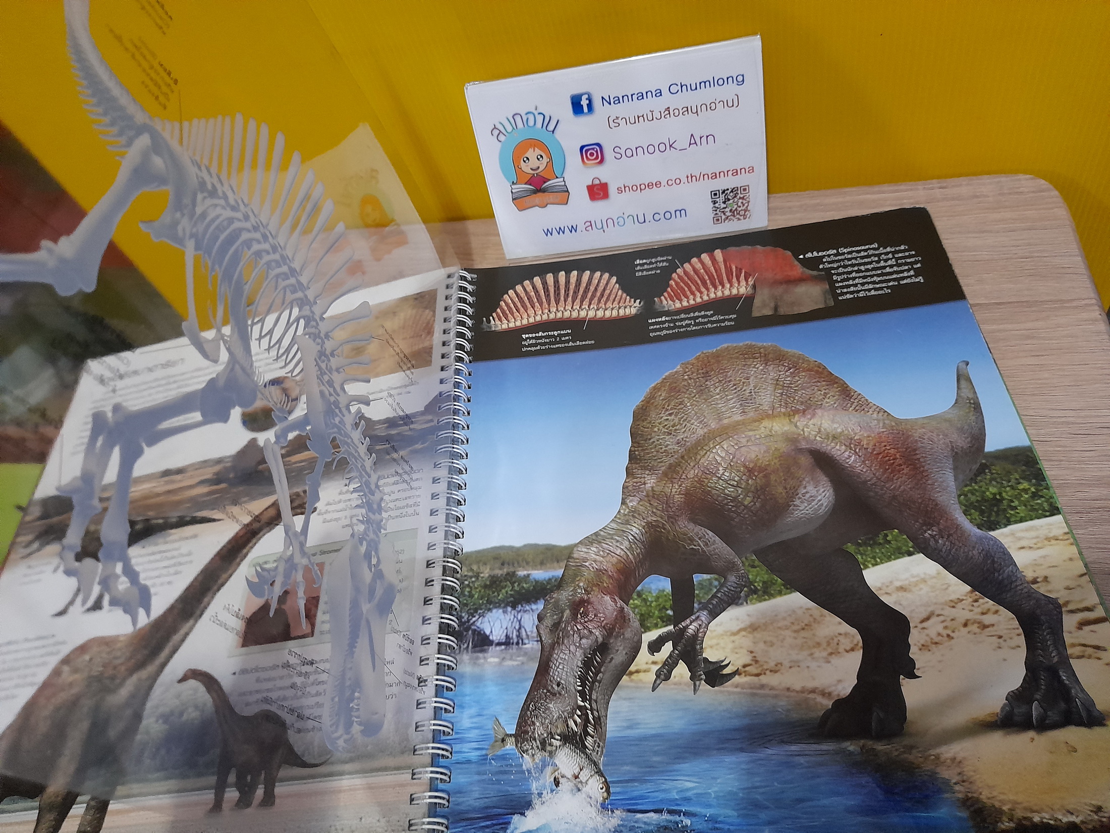Dinosaur Atlas แผนที่ความรู้ไดโนเสาร์ มหัศจรรย์แห่งการเดินทางสู่โลกล้านปี