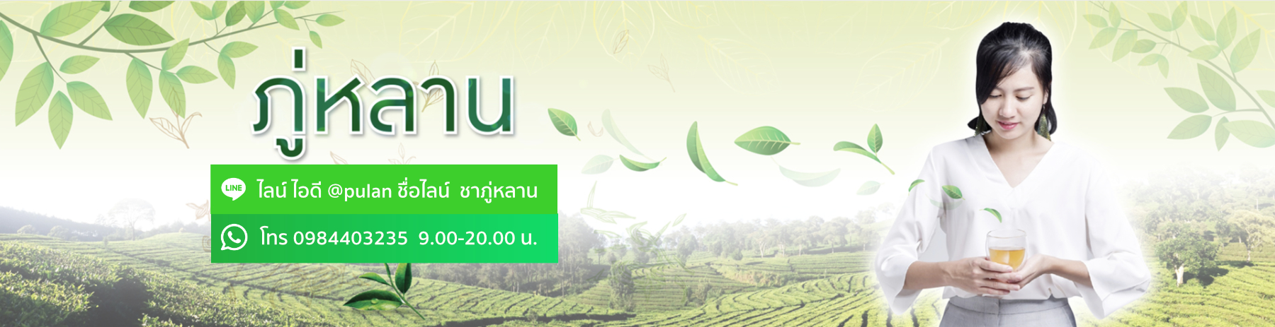 ชาภู่หลาน Phulan