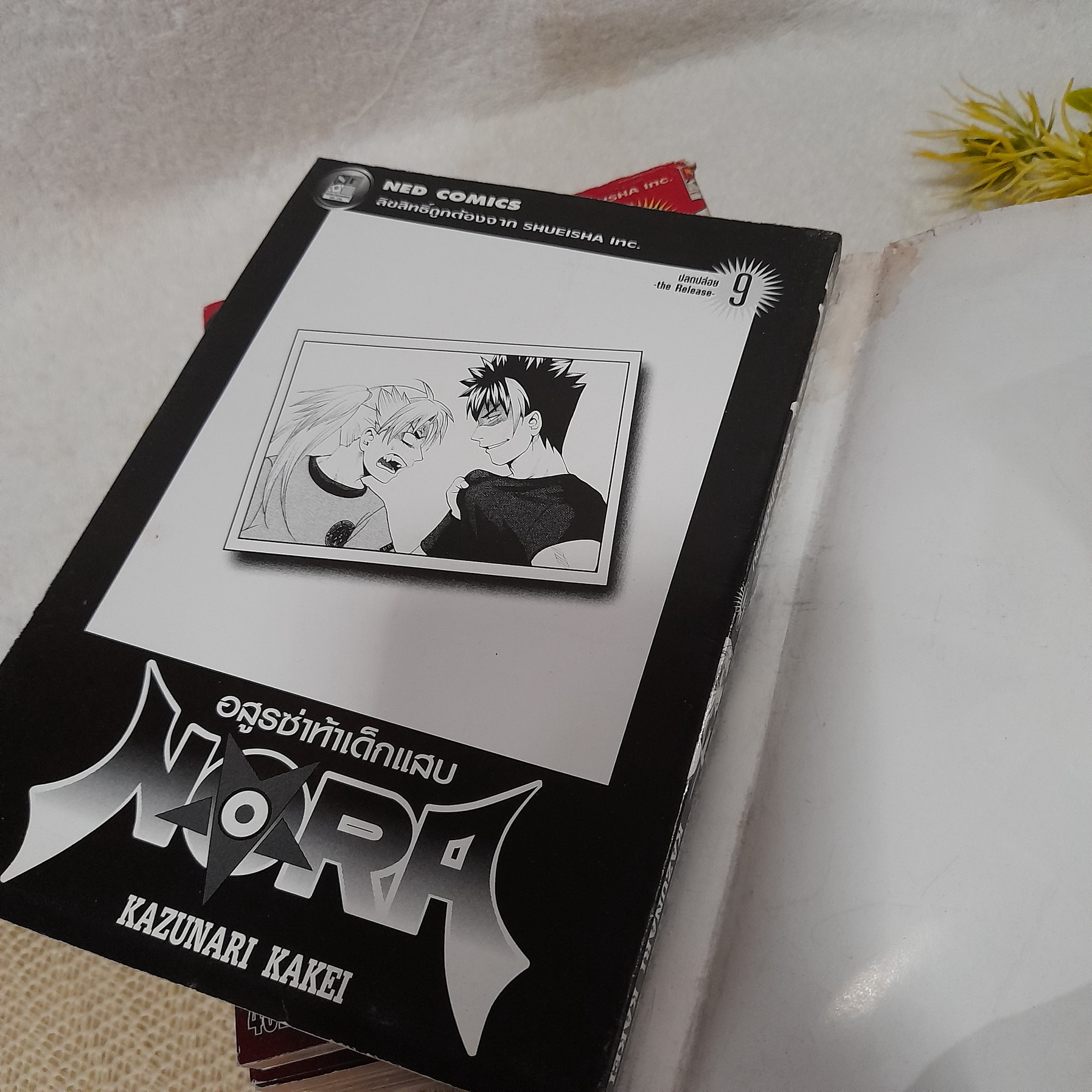Nora อสูรซ่าท้าเด็กแสบ 1-9 (จบ)