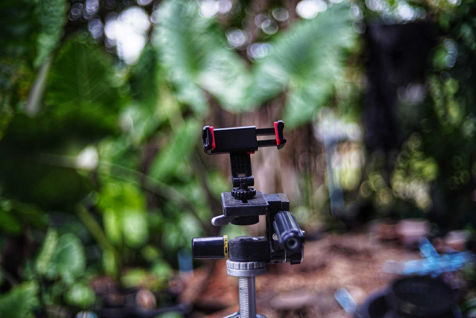 YASHICA COLOR YASHINON-DX 45MM.F1.7 MODIFIED M39 MOUNT