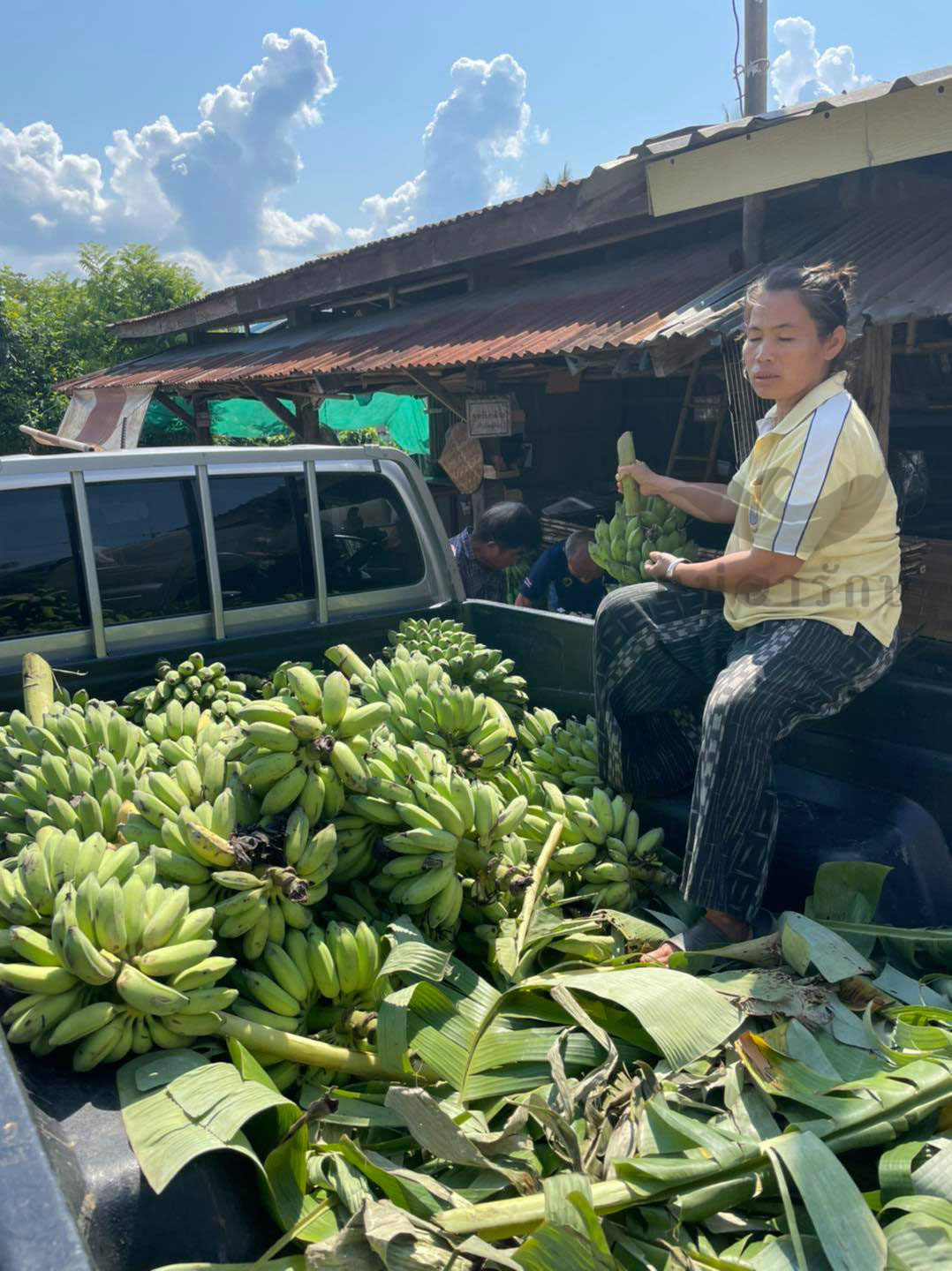 กล้วยสุกทอดเบรกแตก 1kg.