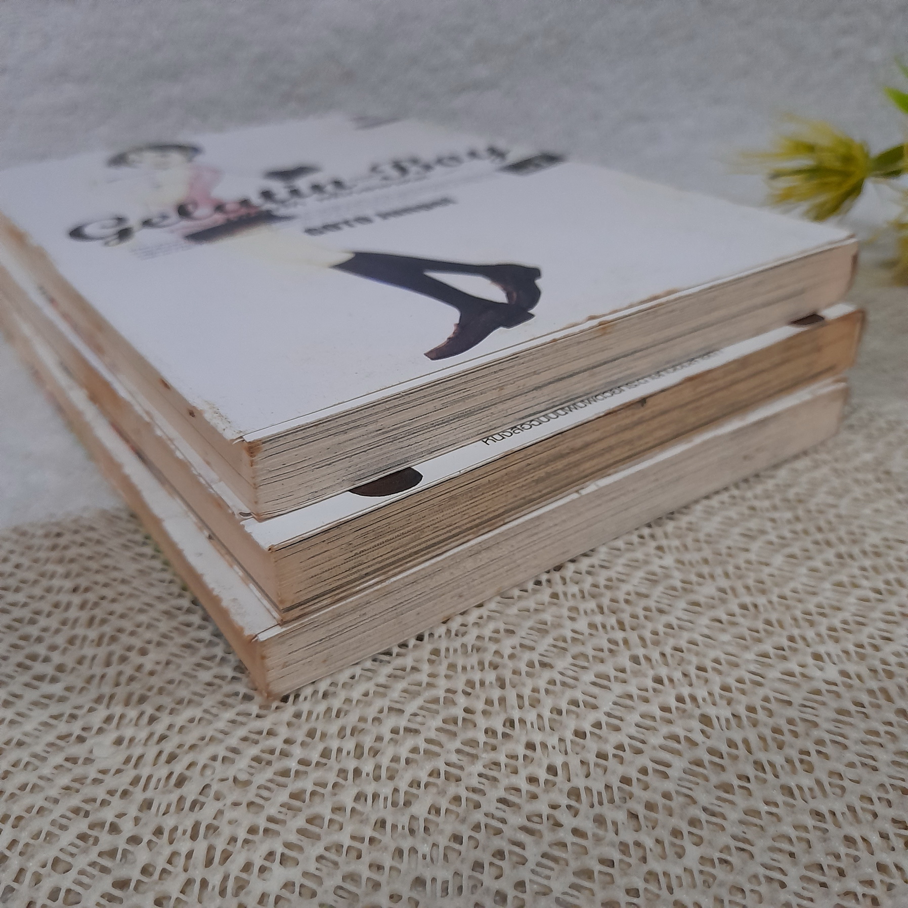 Gelatin Boy เฟรมรักพลิกอนาคต 1-3 ไม่จบ / * ขาดเล่ม 4