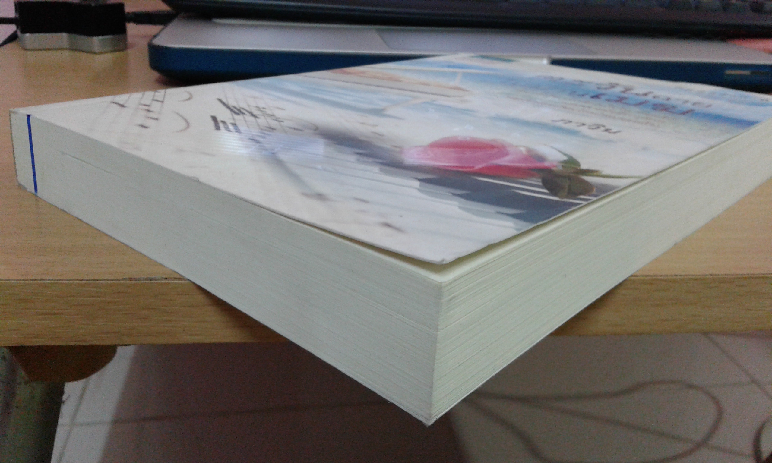 ตะวันฉายในม่านเมฆ / ภาวิน